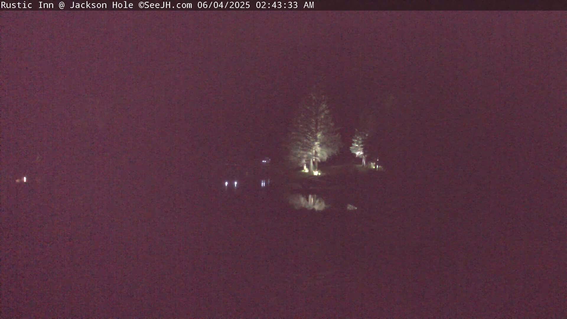 A nighttime view of a body of water with illuminated trees and their reflections on the water's surface under a dark sky.