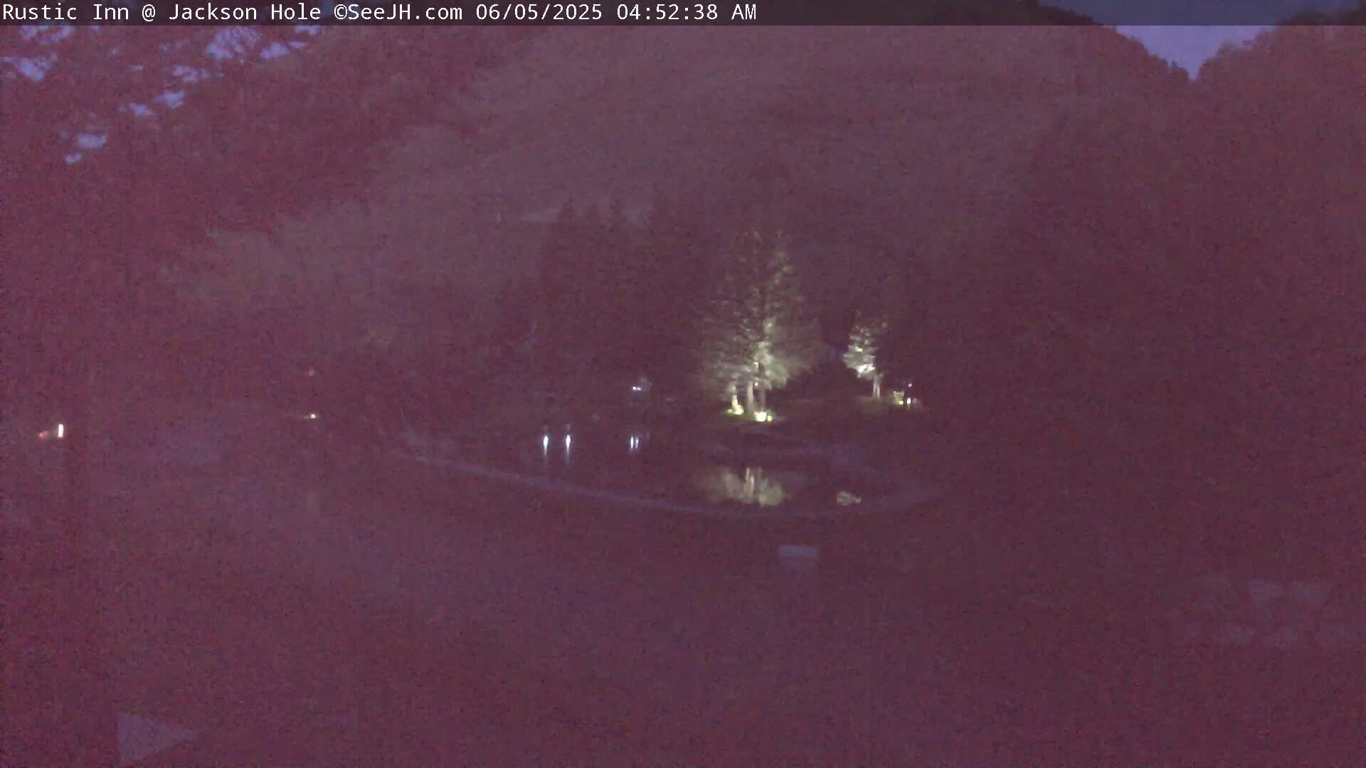 A nighttime view of a dark, wooded area with a body of water reflecting illuminated trees.