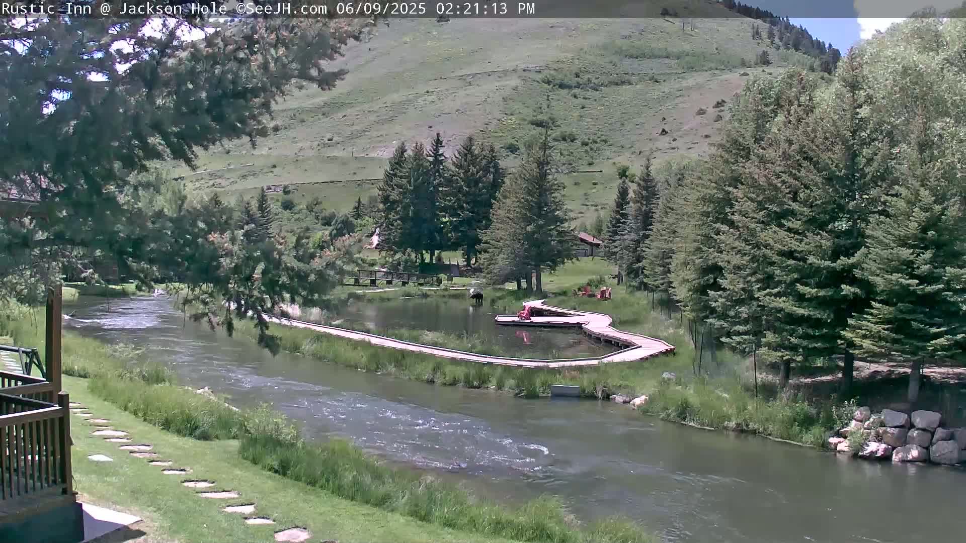 Jackson Hole, Flat Creek from Rustic Inn Resort Live Cam - Jackson, Teton, Wyoming, USA