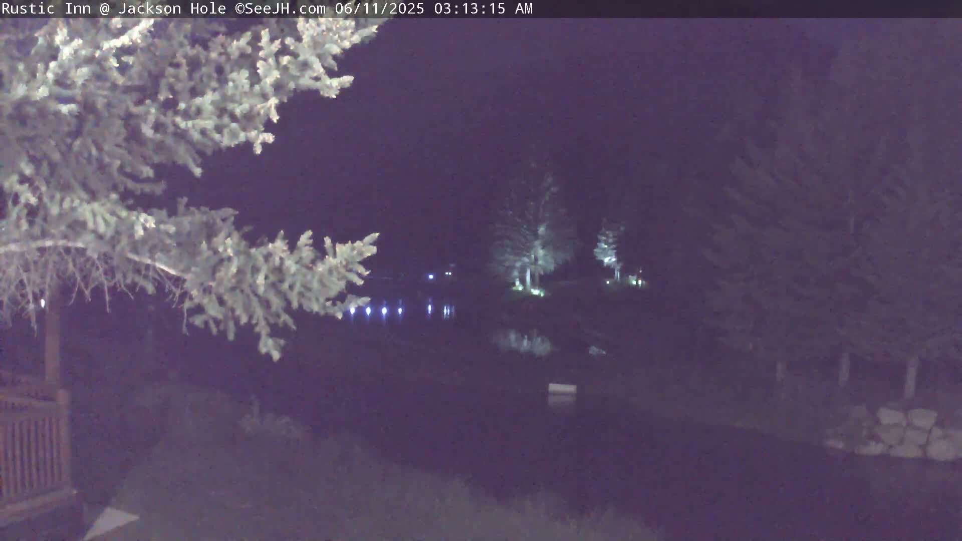 A nighttime view of a dark body of water, illuminated by lights on its banks, partially obscured by tree branches in the foreground.