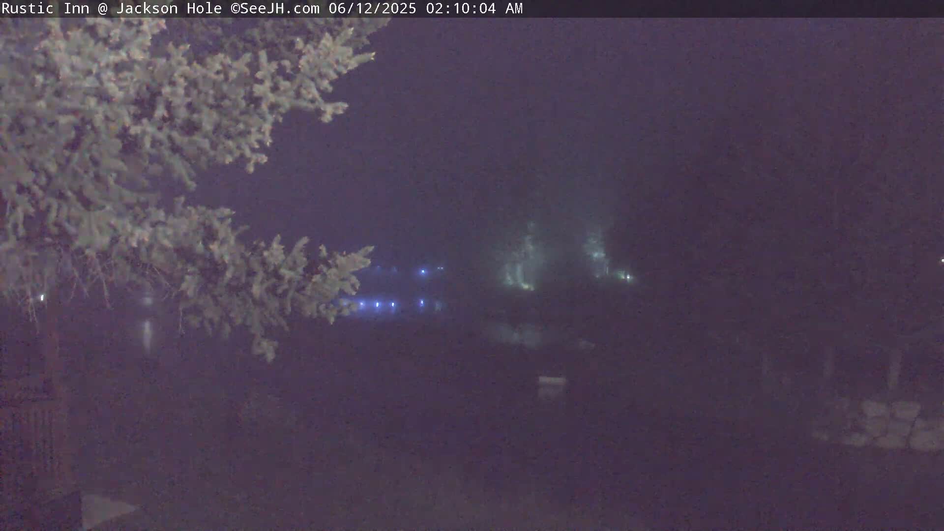 A nighttime, foggy scene shows dimly lit buildings through the branches of an evergreen tree.
