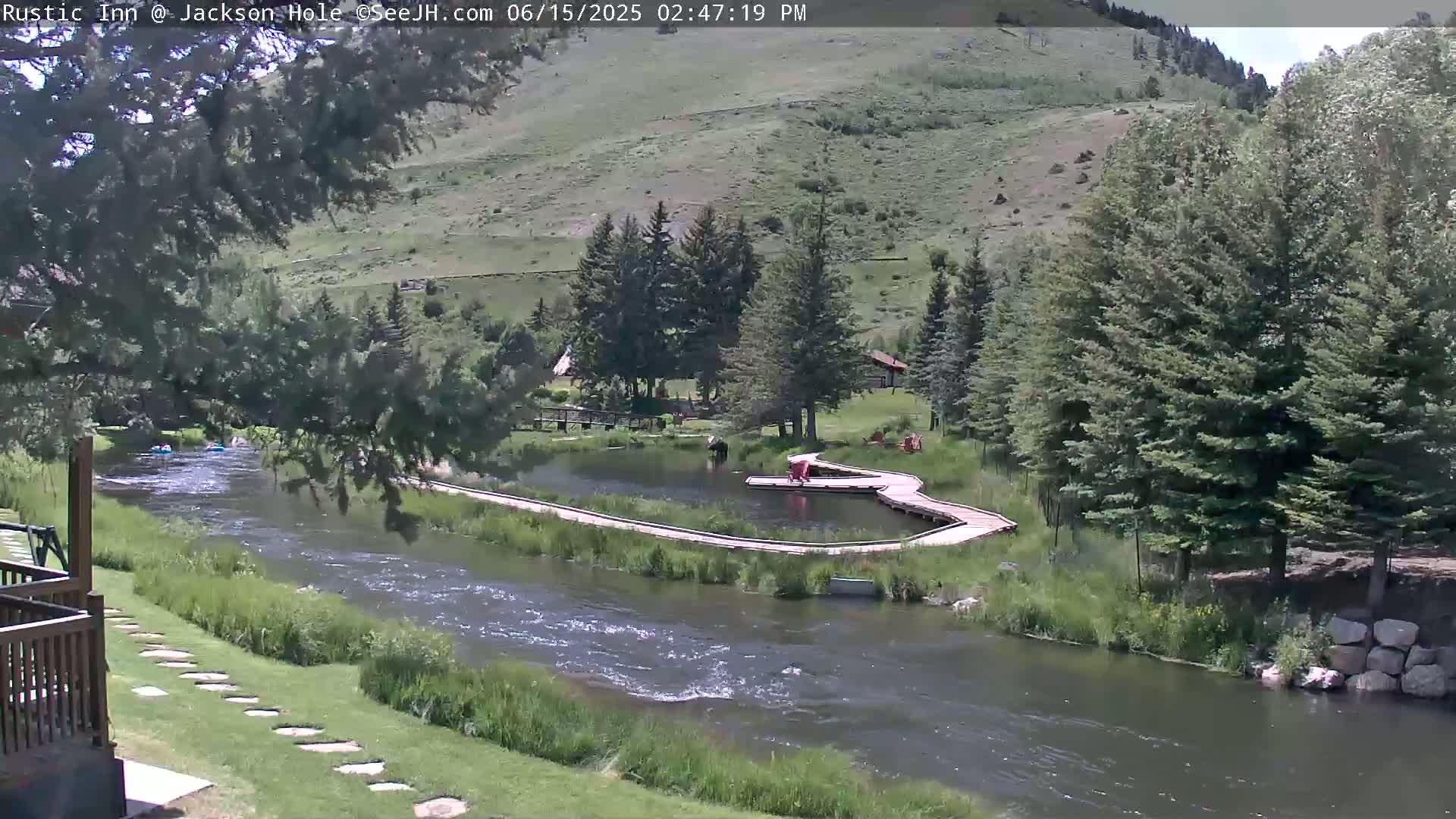 Jackson Hole, Flat Creek from Rustic Inn Resort Live Cam - Jackson, Teton, Wyoming, USA