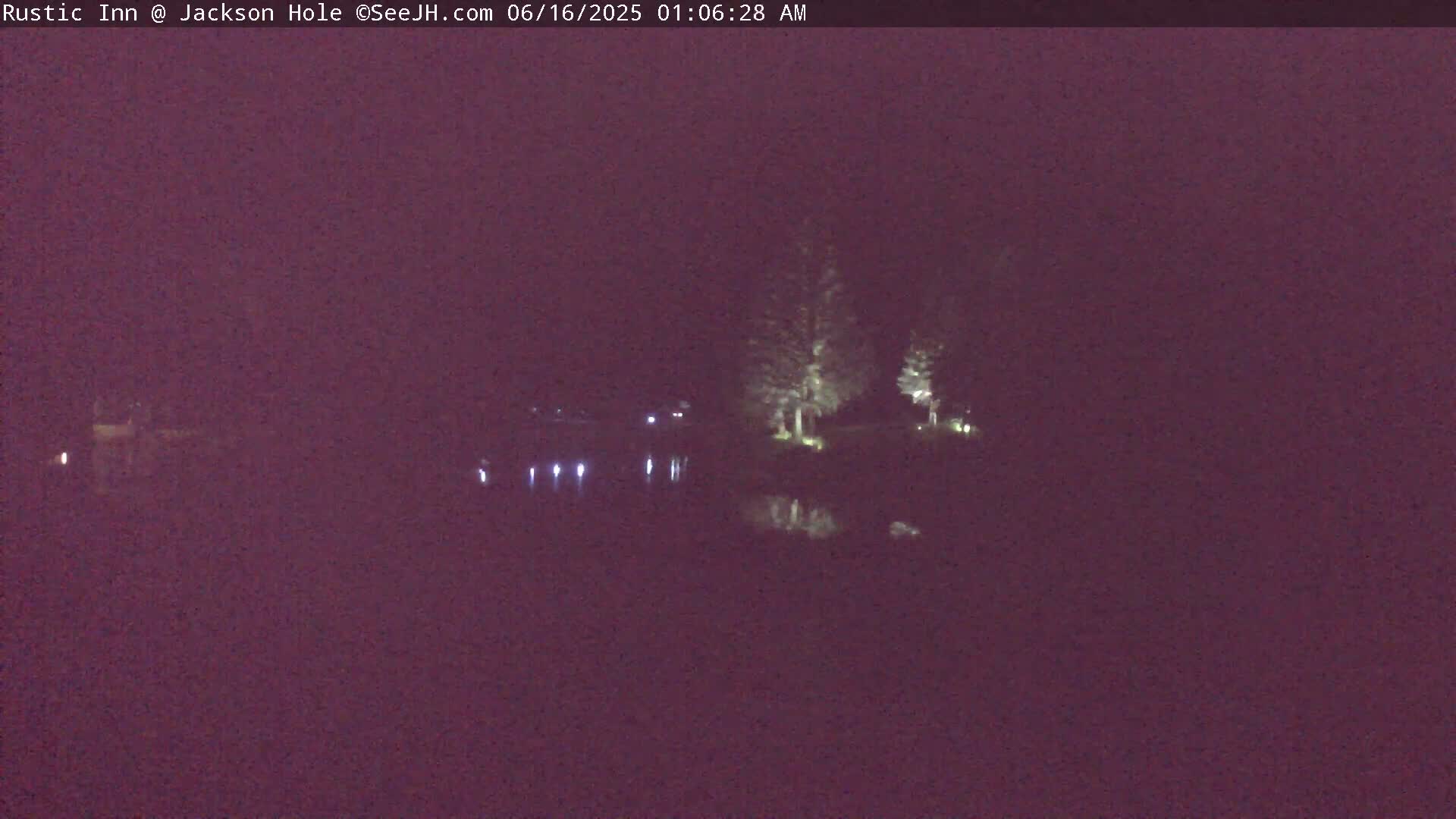 A dark, nighttime scene shows a body of water reflecting lights from the shore, where a few trees are illuminated.