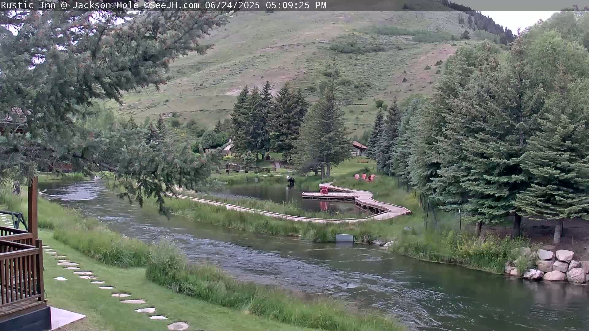 Jackson Hole, Flat Creek from Rustic Inn Resort Live Cam - Jackson, Teton, Wyoming, USA