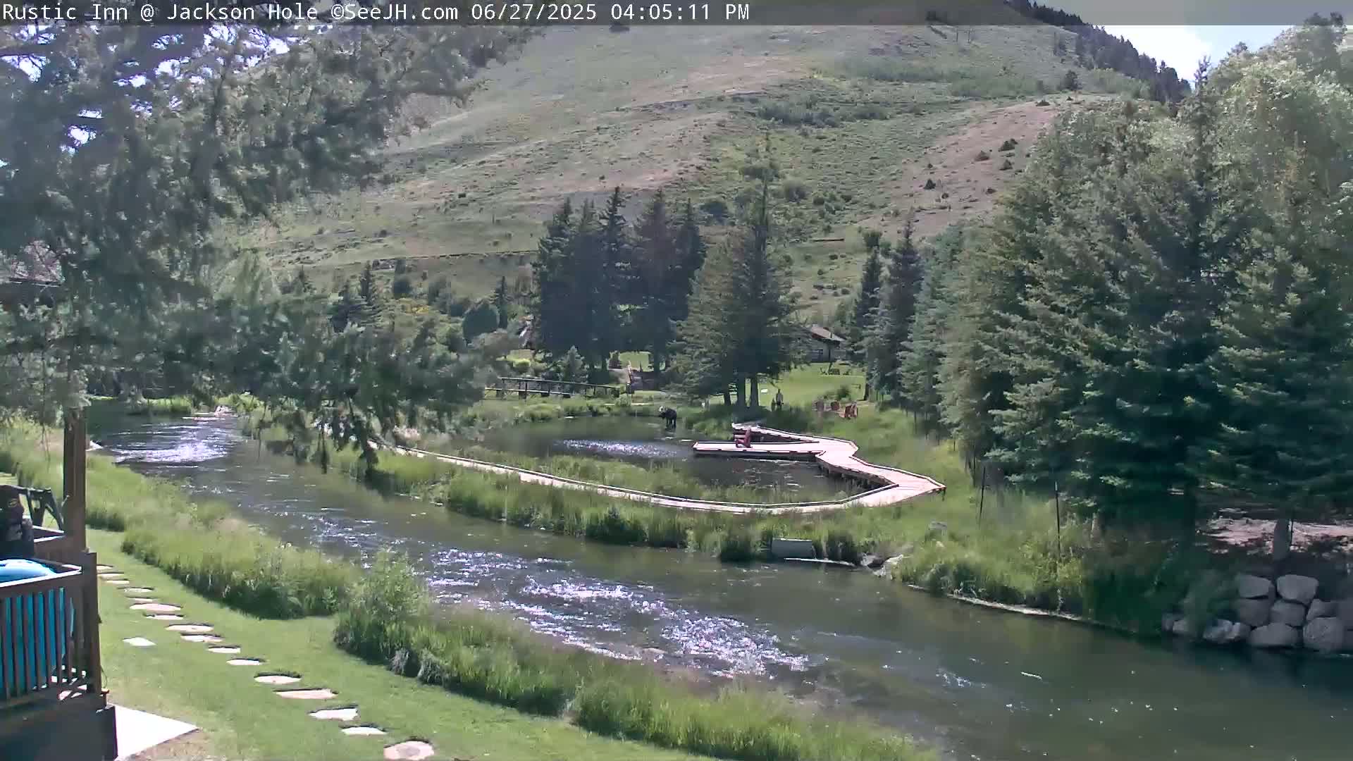 Jackson Hole, Flat Creek from Rustic Inn Resort Live Cam - Jackson, Teton, Wyoming, USA