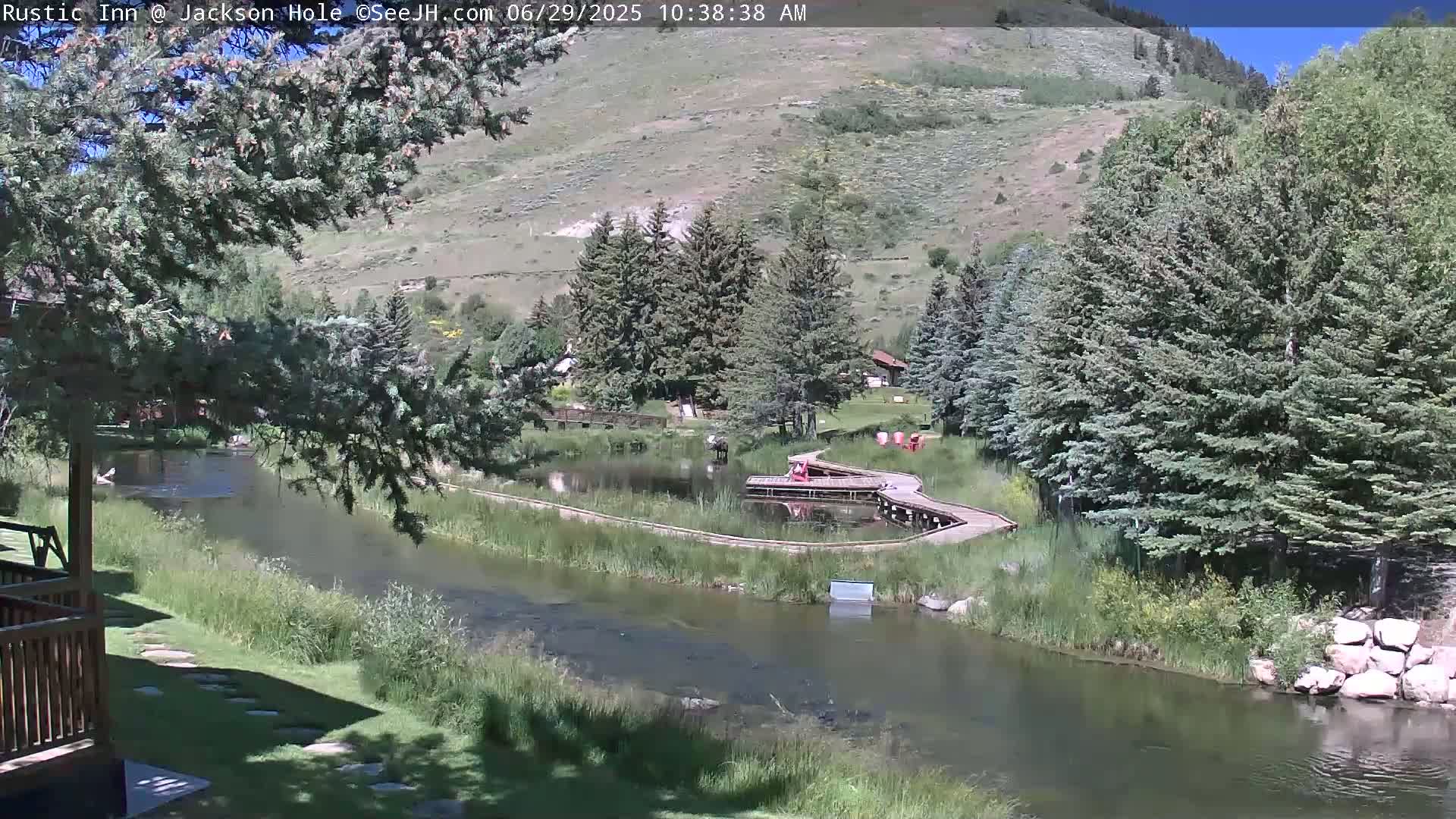 Jackson Hole, Flat Creek from Rustic Inn Resort Live Cam - Jackson, Teton, Wyoming, USA