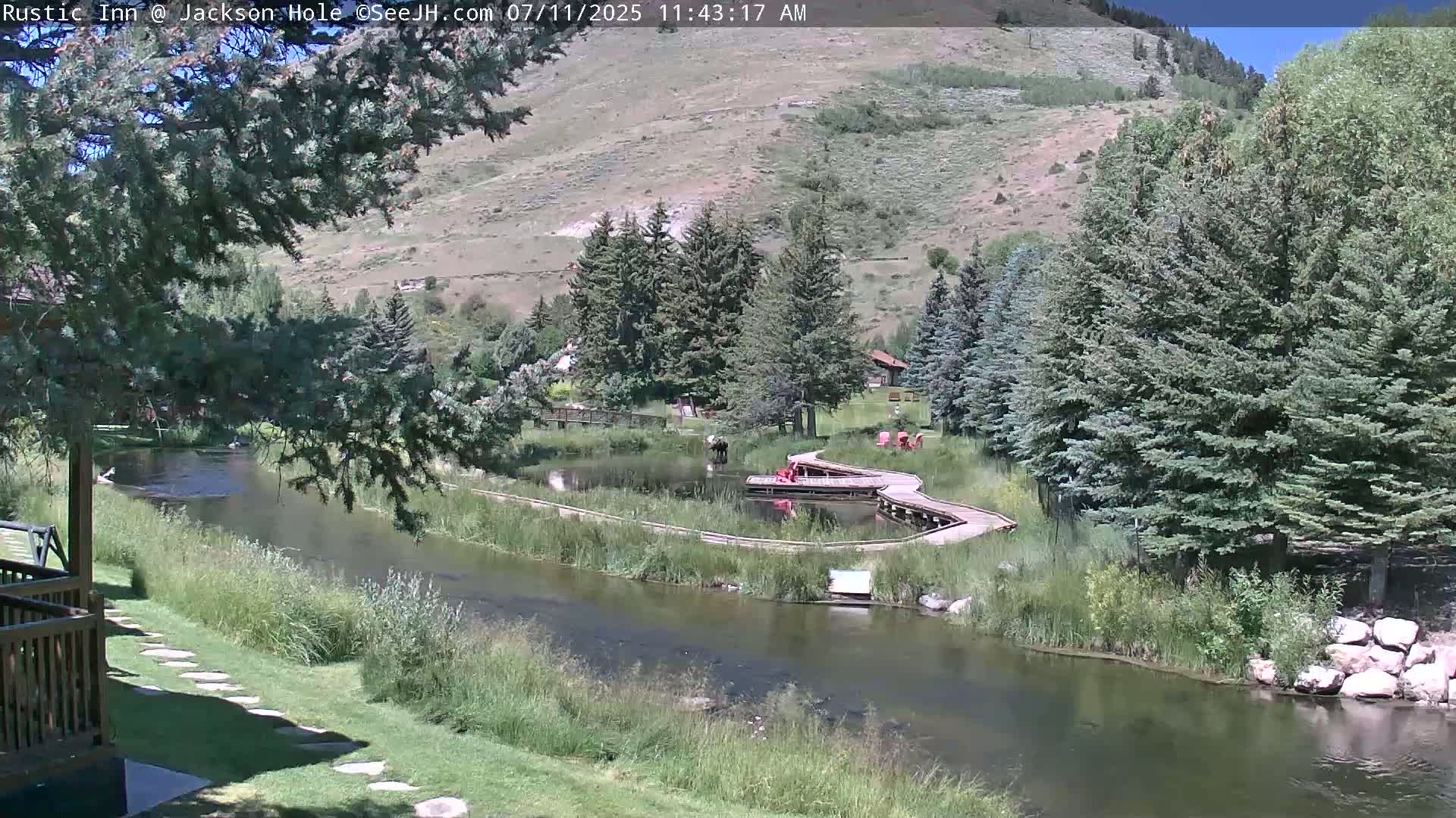 Jackson Hole, Flat Creek from Rustic Inn Resort Live Cam - Jackson, Teton, Wyoming, USA