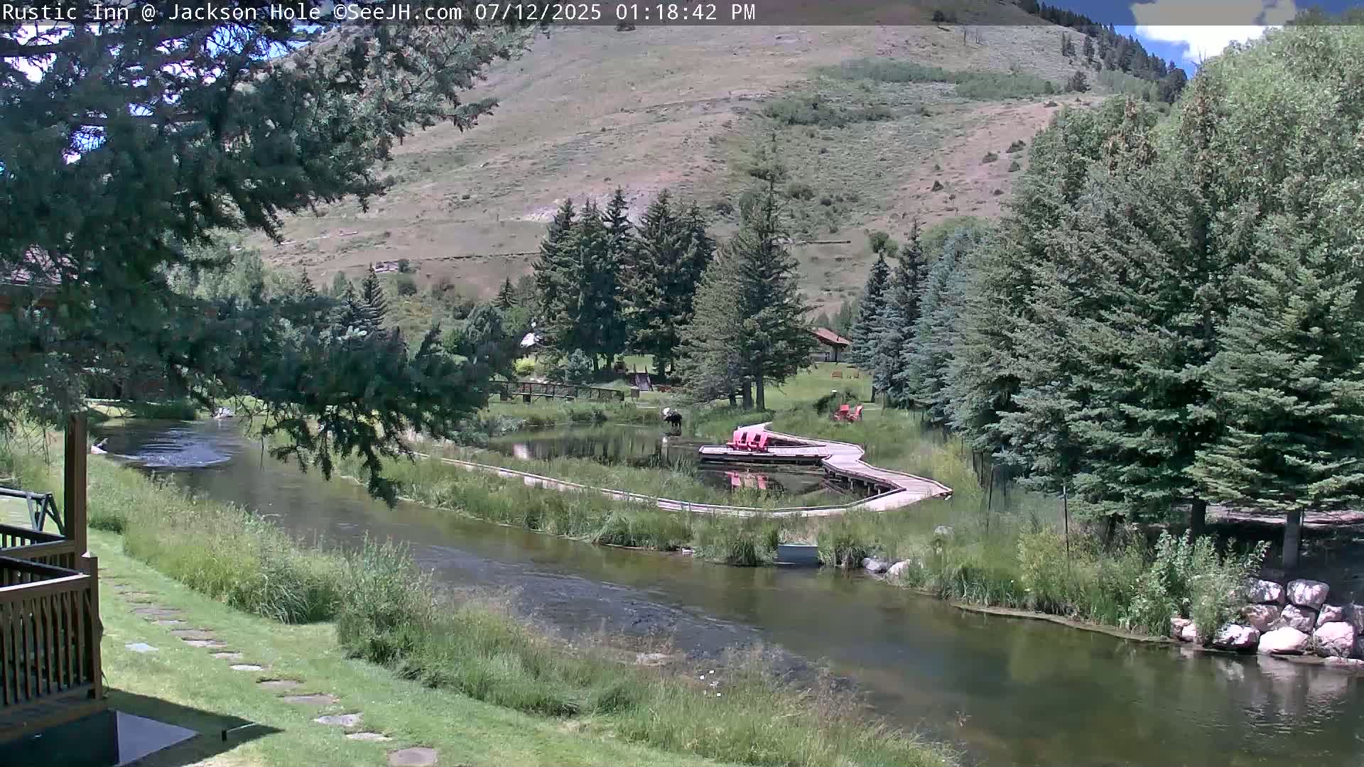 Jackson Hole, Flat Creek from Rustic Inn Resort Live Cam - Jackson, Teton, Wyoming, USA