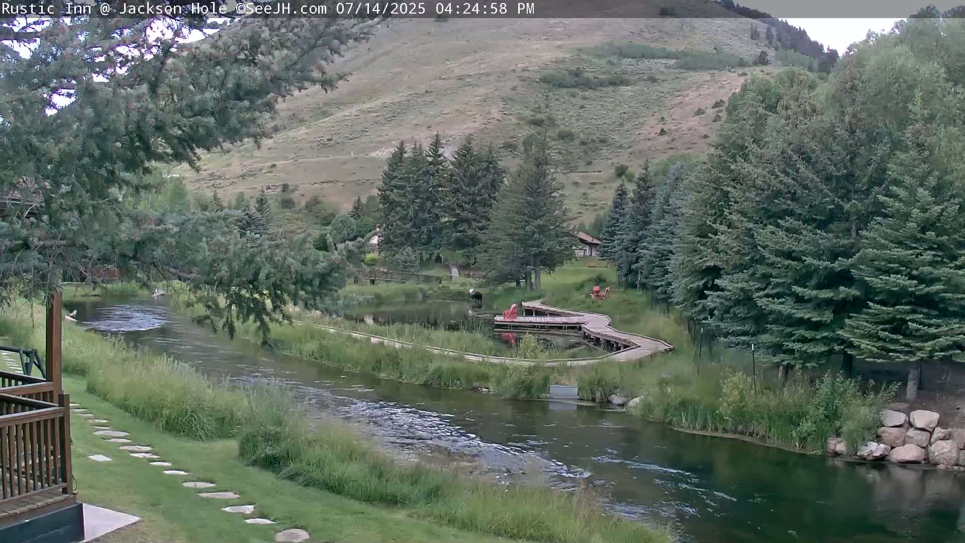 Jackson Hole, Flat Creek from Rustic Inn Resort Live Cam - Jackson, Teton, Wyoming, USA