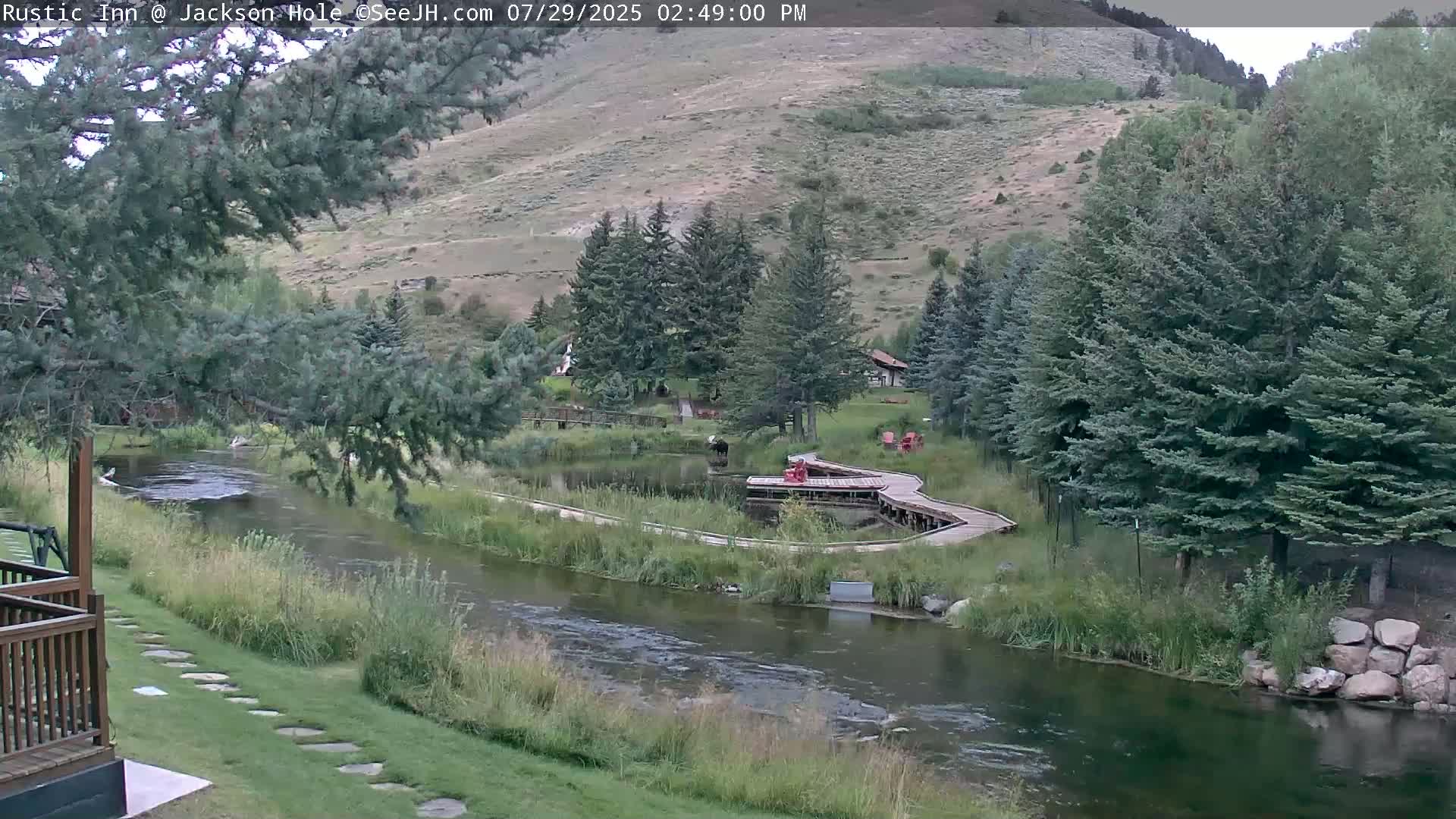 Jackson Hole, Flat Creek from Rustic Inn Resort Live Cam - Jackson, Teton, Wyoming, USA