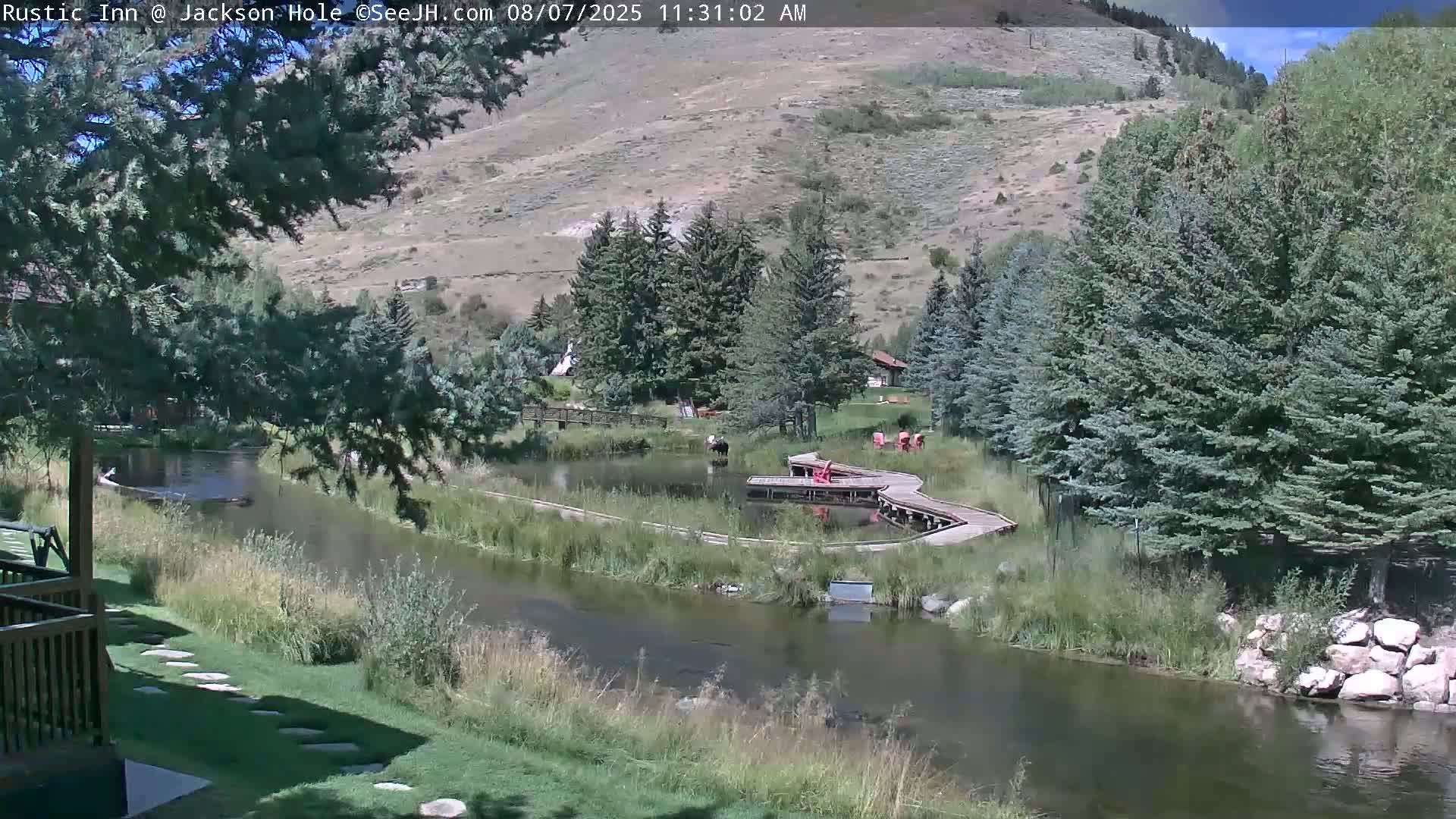 Jackson Hole, Flat Creek from Rustic Inn Resort Live Cam - Jackson, Teton, Wyoming, USA