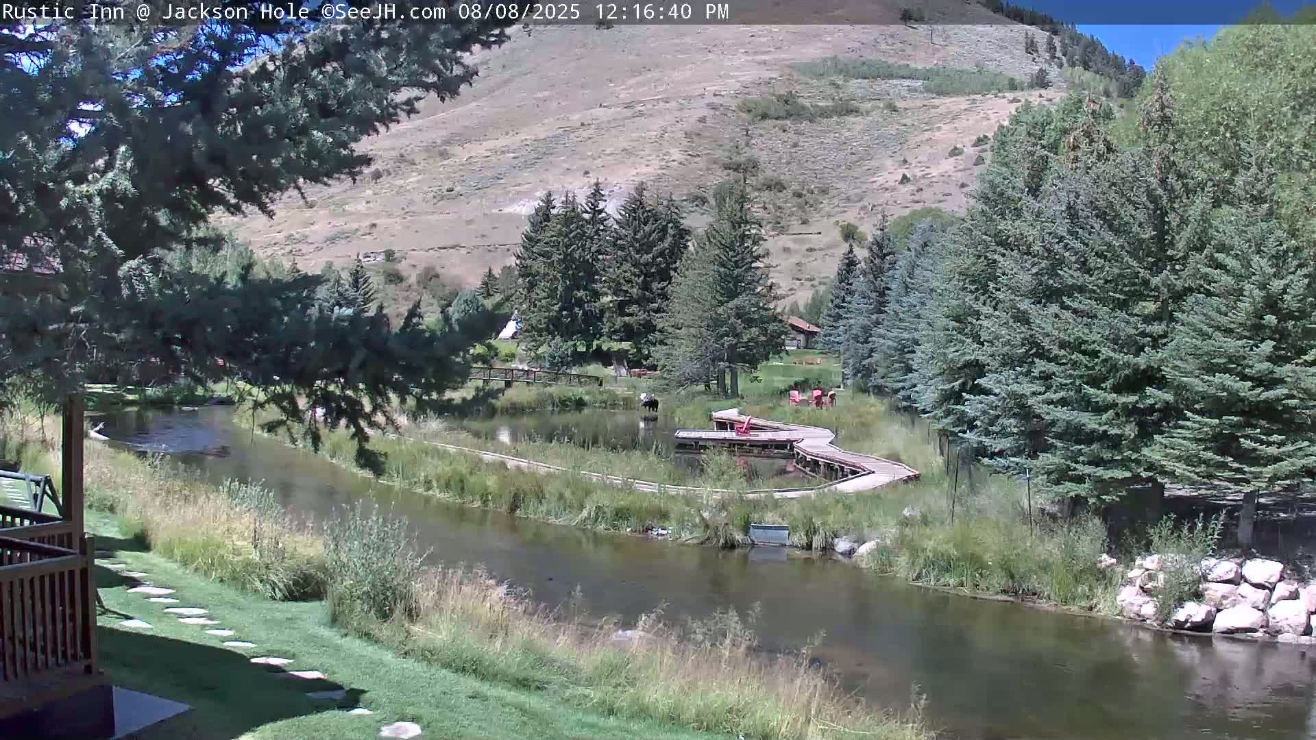 Jackson Hole, Flat Creek from Rustic Inn Resort Live Cam - Jackson, Teton, Wyoming, USA
