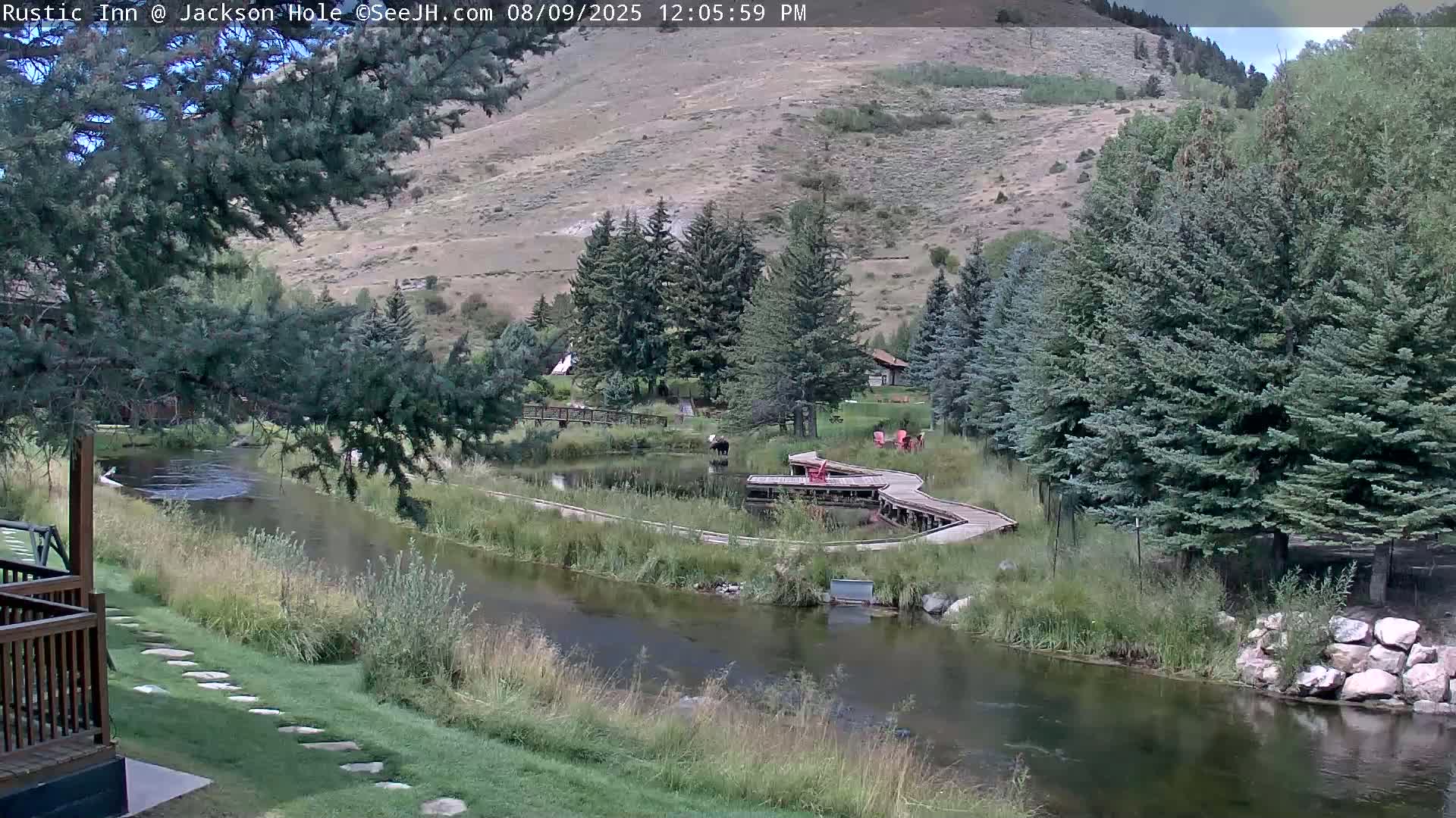 Jackson Hole, Flat Creek from Rustic Inn Resort Live Cam - Jackson, Teton, Wyoming, USA