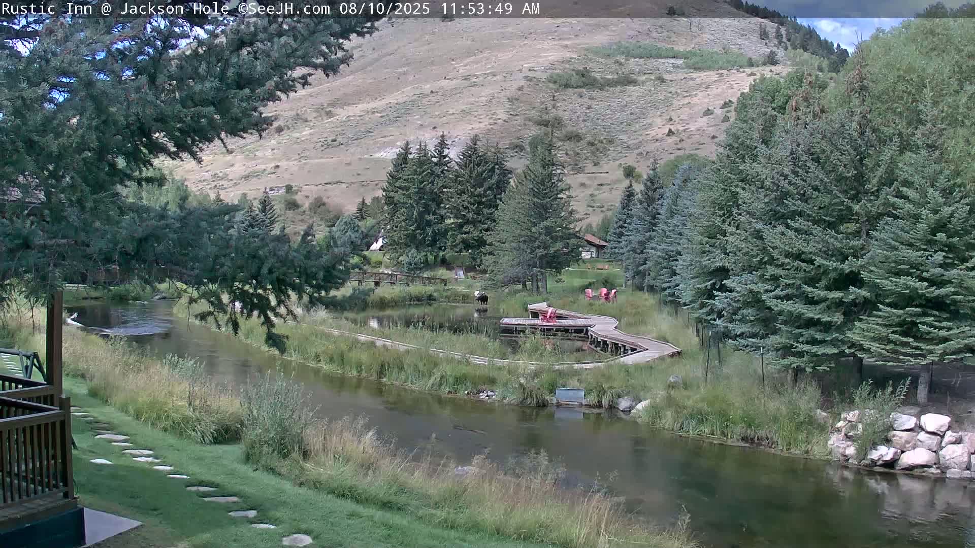 Jackson Hole, Flat Creek from Rustic Inn Resort Live Cam - Jackson, Teton, Wyoming, USA
