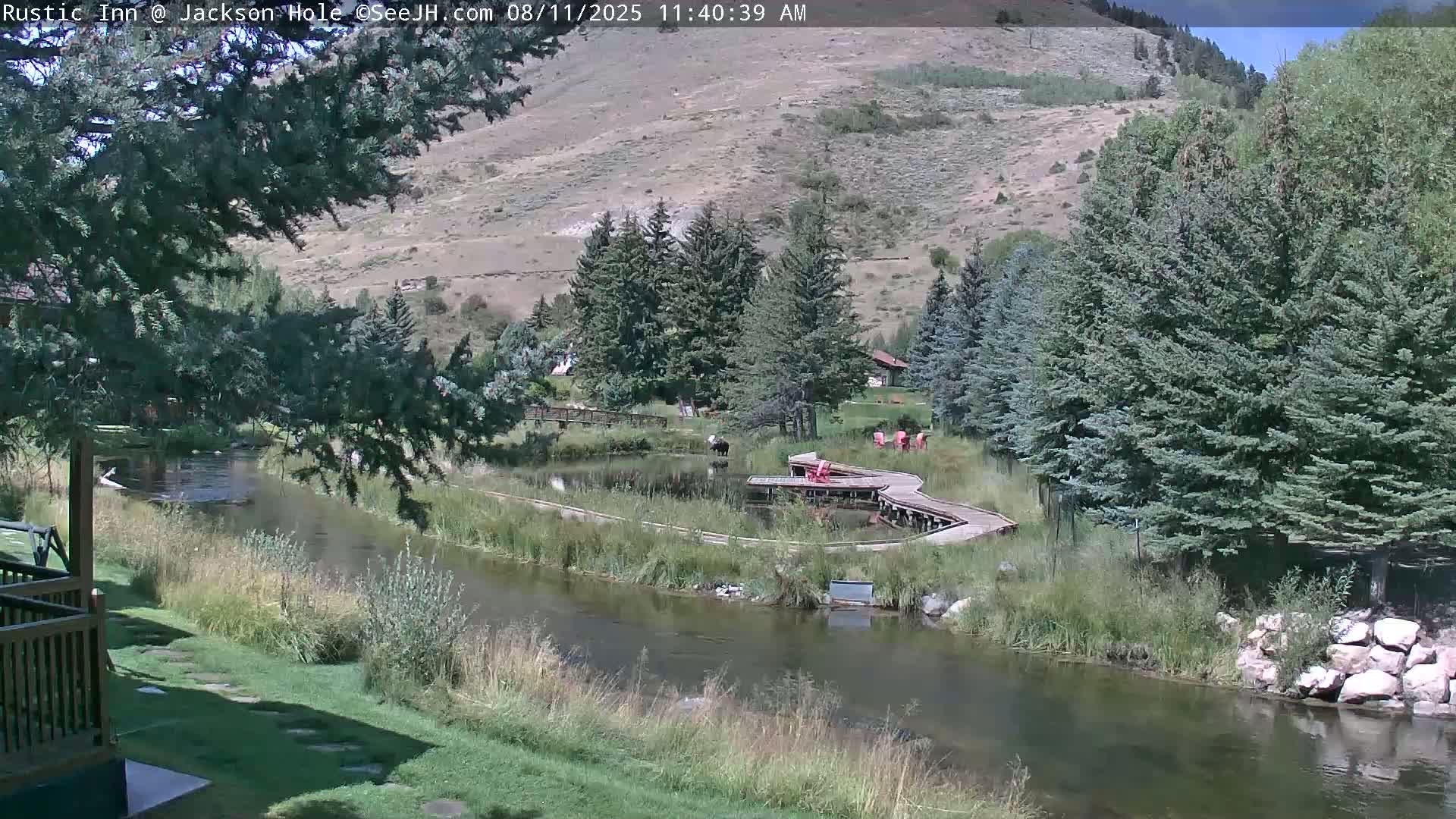 Jackson Hole, Flat Creek from Rustic Inn Resort Live Cam - Jackson, Teton, Wyoming, USA