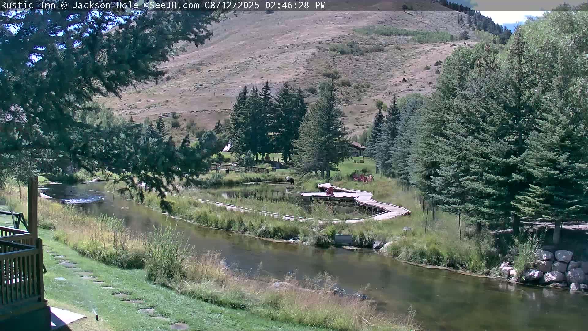 Jackson Hole, Flat Creek from Rustic Inn Resort Live Cam - Jackson, Teton, Wyoming, USA
