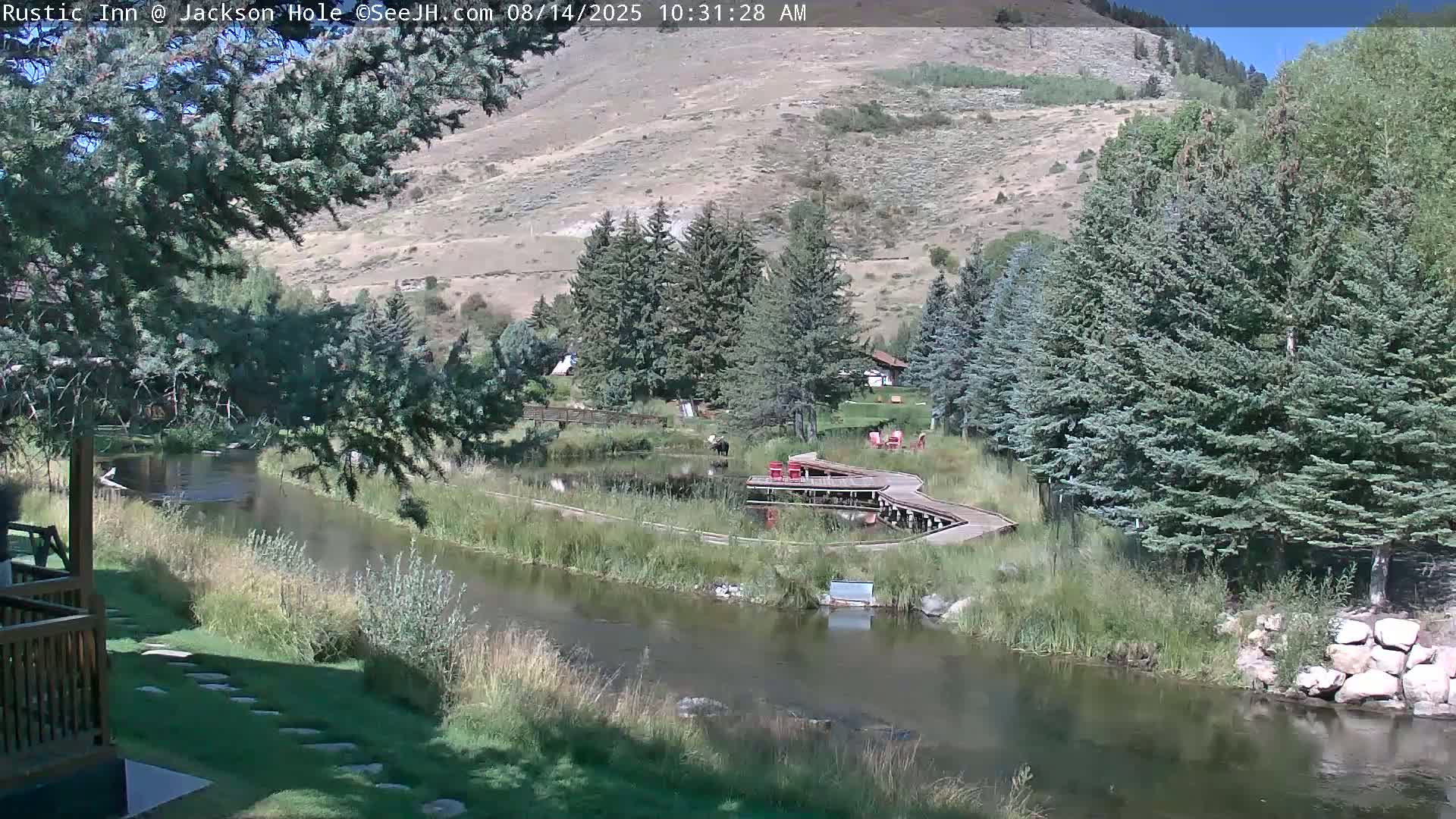 Jackson Hole, Flat Creek from Rustic Inn Resort Live Cam - Jackson, Teton, Wyoming, USA