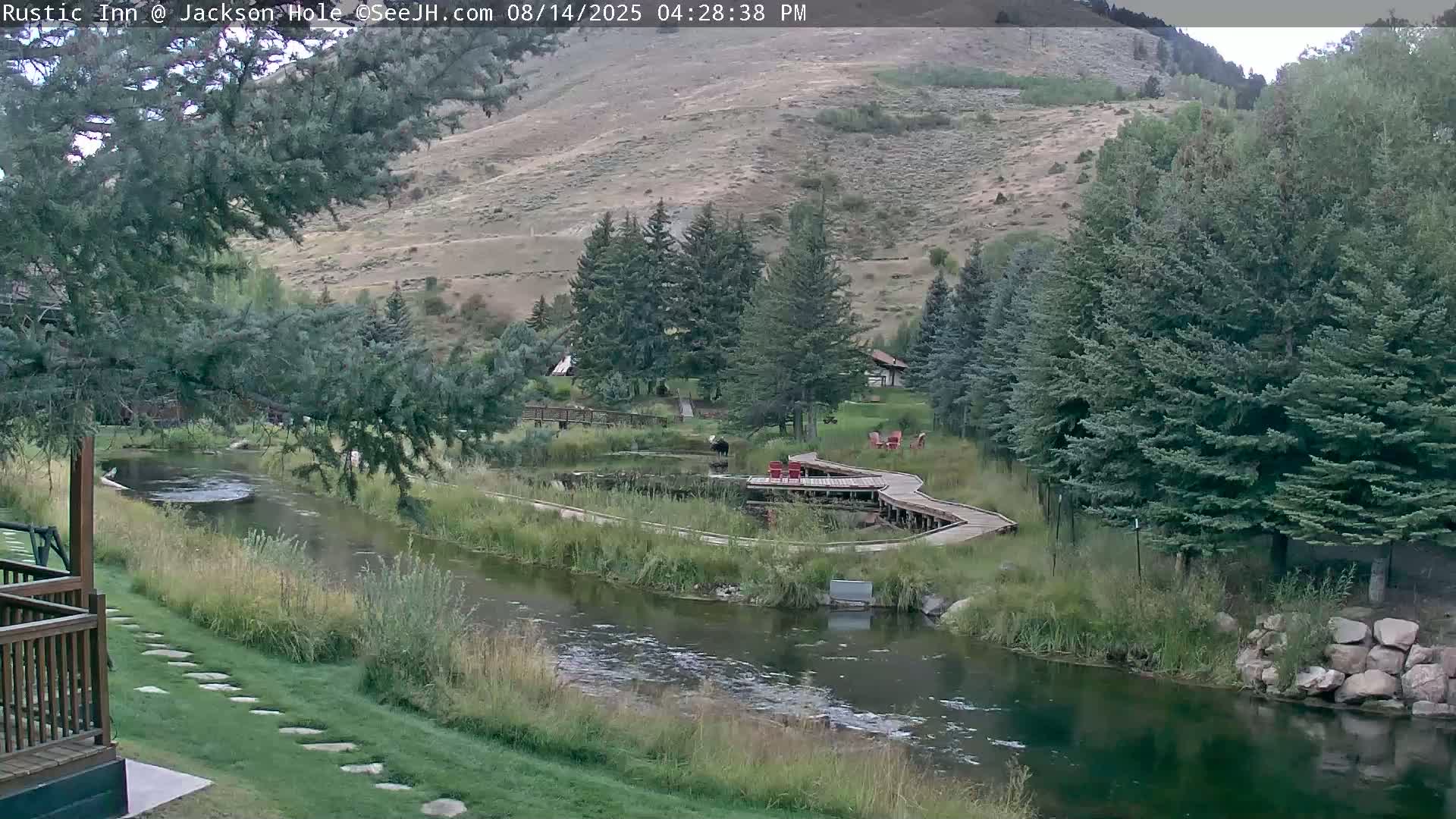 Jackson Hole, Flat Creek from Rustic Inn Resort Live Cam - Jackson, Teton, Wyoming, USA