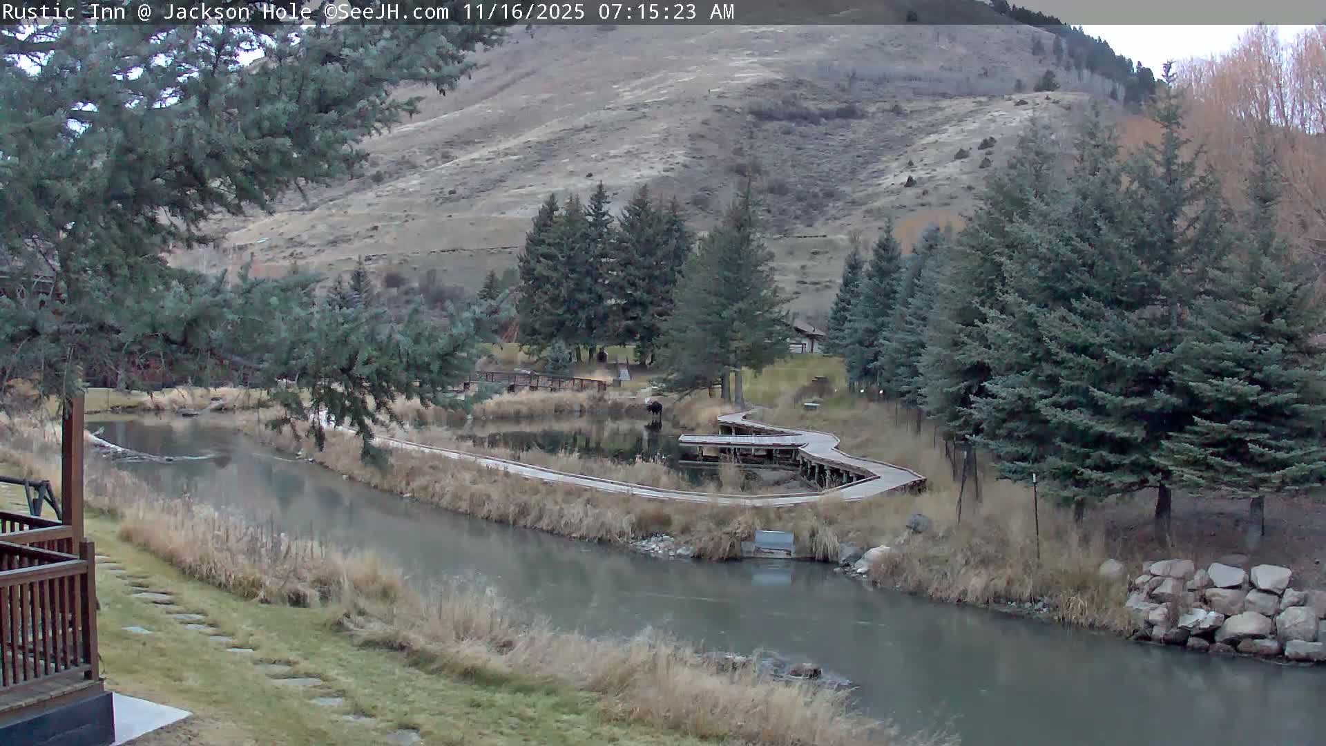 Jackson Hole, Flat Creek from Rustic Inn Resort Live Cam - Jackson, Teton, Wyoming, USA