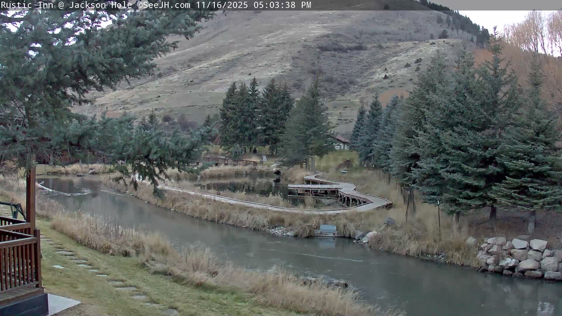Jackson Hole, Flat Creek from Rustic Inn Resort Live Cam - Jackson, Teton, Wyoming, USA