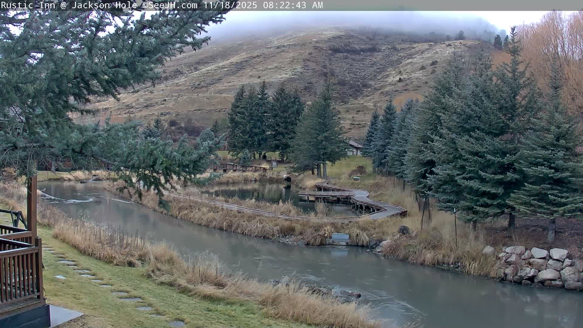 Jackson Hole, Flat Creek from Rustic Inn Resort Live Cam - Jackson, Teton, Wyoming, USA