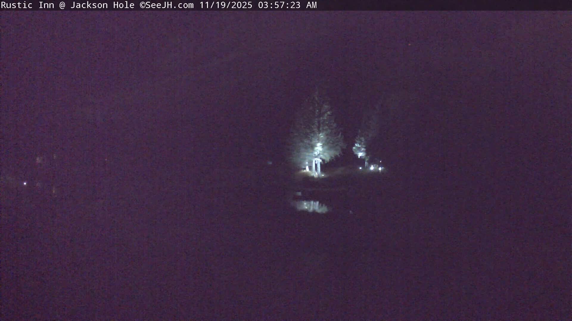 A nighttime, low-light outdoor scene shows a dark body of water with faint lights across it, and dark trees and vegetation in the foreground and background.