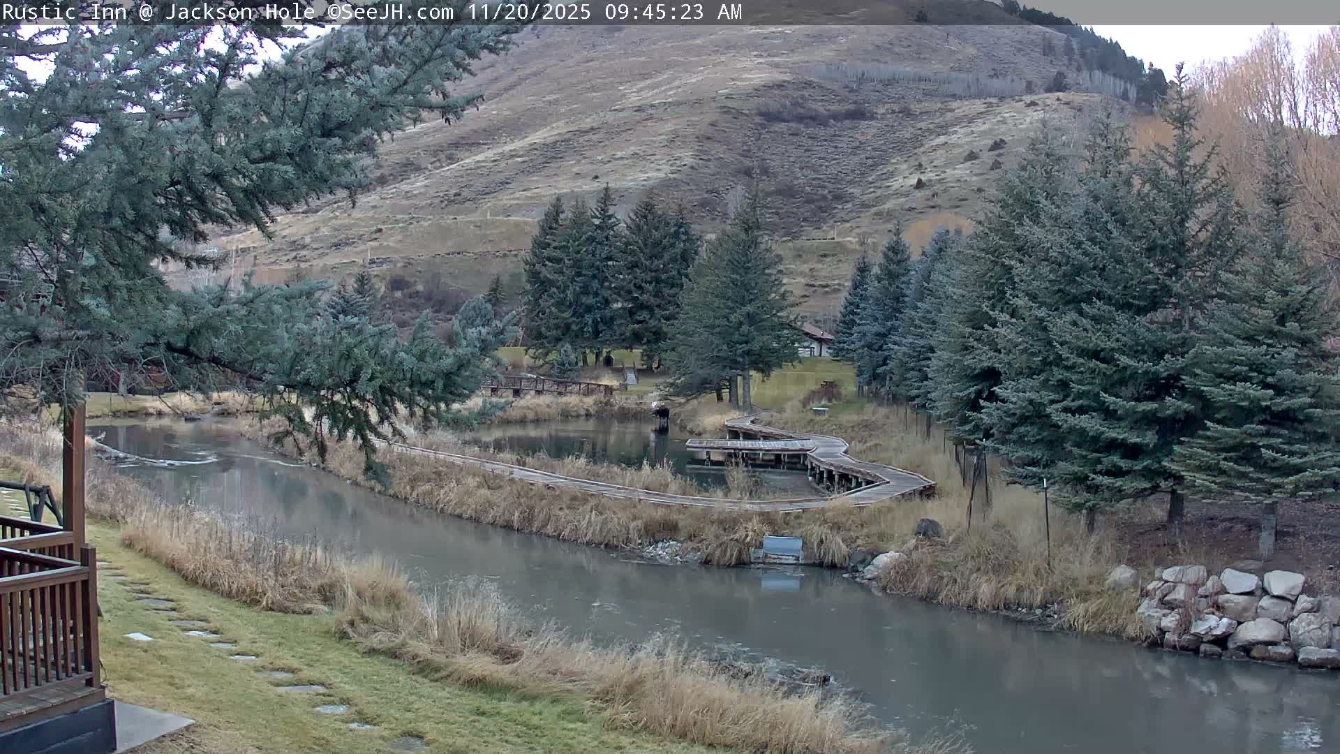 Jackson Hole, Flat Creek from Rustic Inn Resort Live Cam - Jackson, Teton, Wyoming, USA