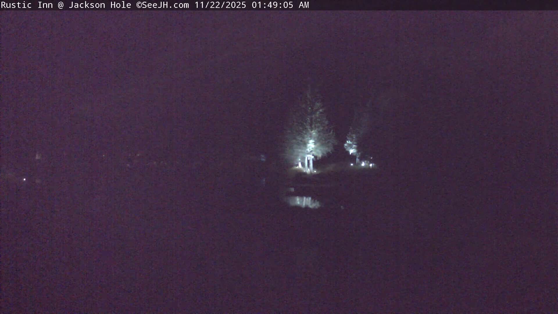 A dark, foggy night scene reveals illuminated trees reflecting in a body of water, with artificial lights creating a hazy glow through the dense conditions.