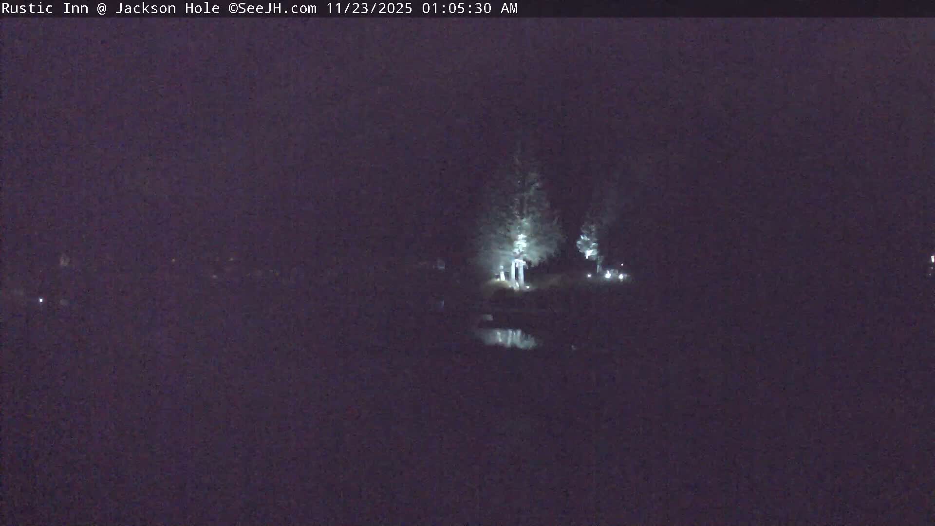 A dark outdoor scene at night shows several brightly illuminated trees and their reflections in a body of water, with significant fog or mist obscuring distant details.