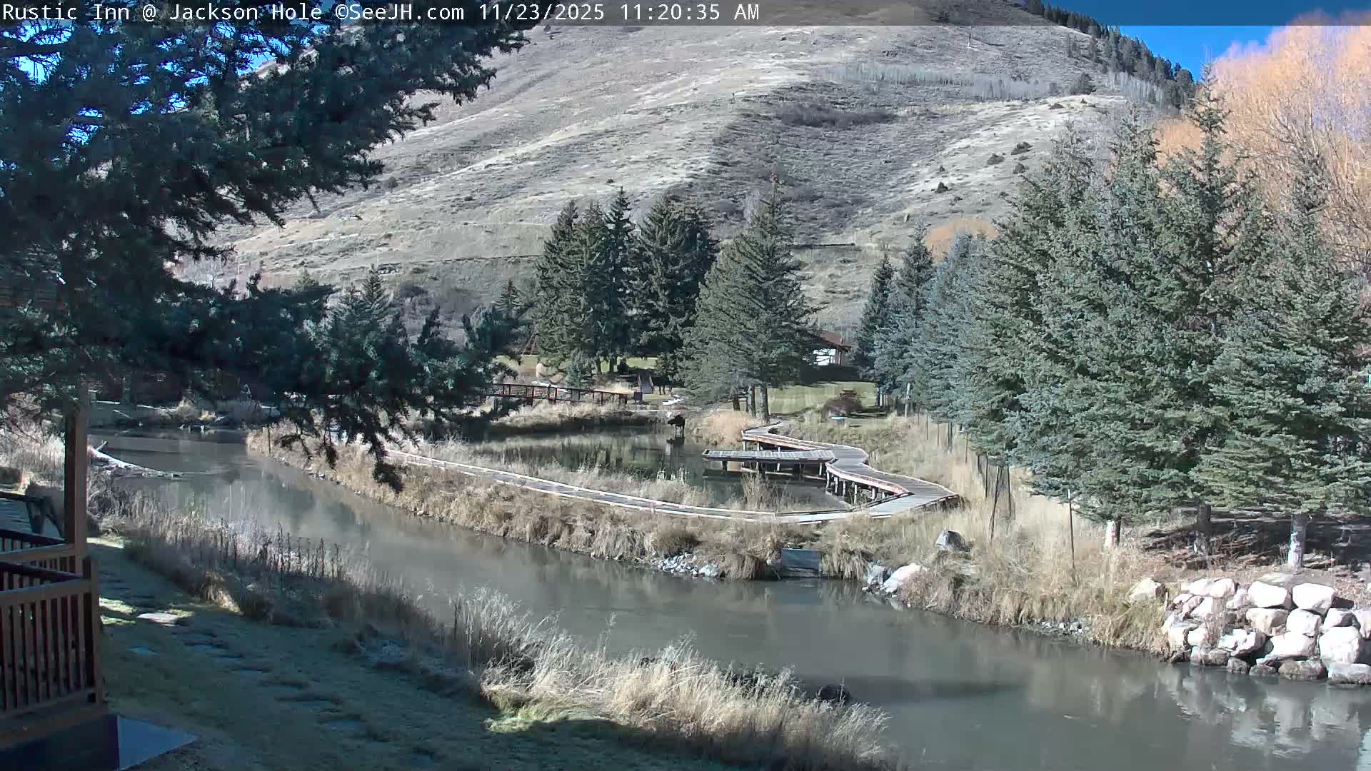 Jackson Hole, Flat Creek from Rustic Inn Resort Live Cam - Jackson, Teton, Wyoming, USA