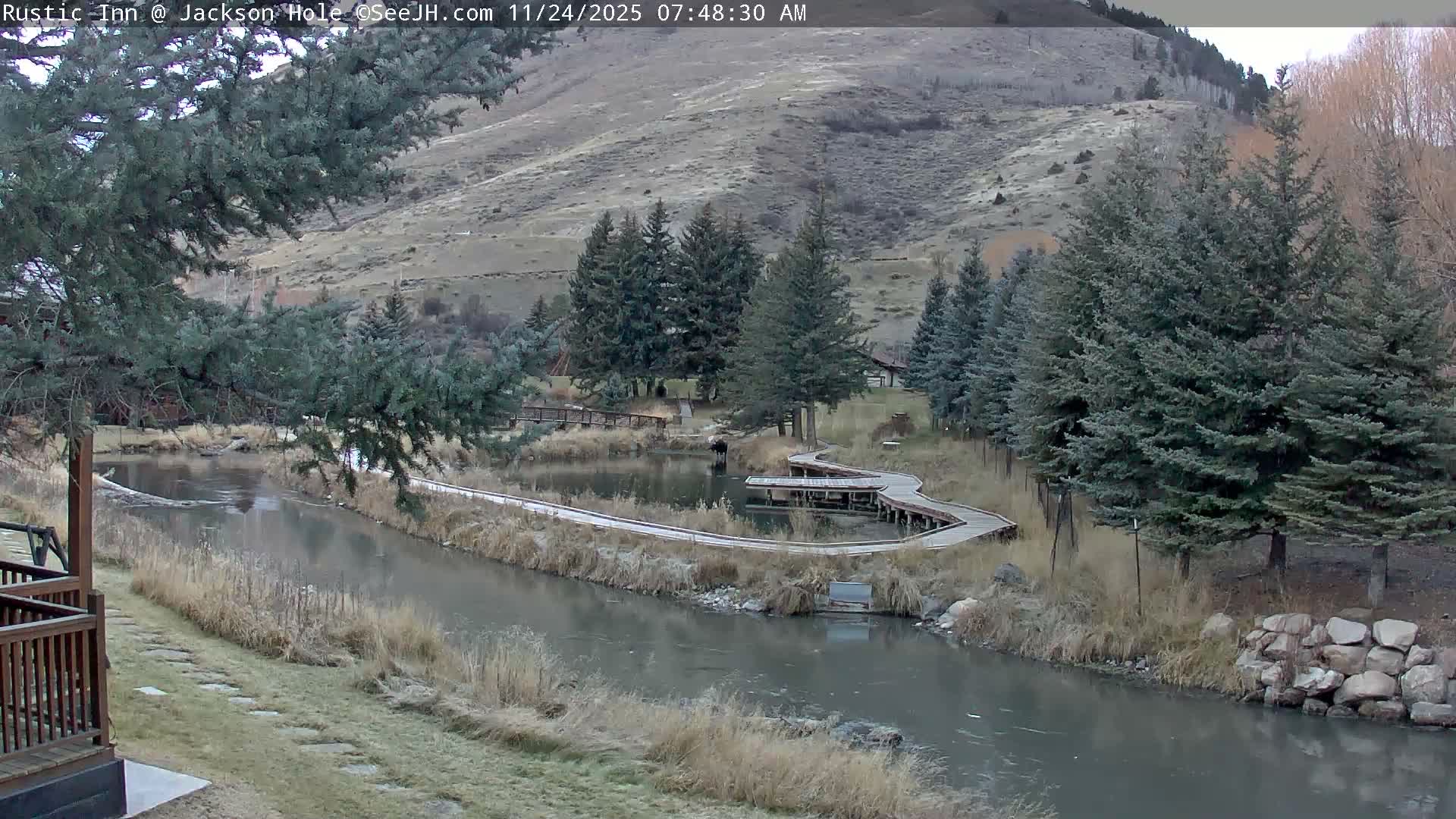 Jackson Hole, Flat Creek from Rustic Inn Resort Live Cam - Jackson, Teton, Wyoming, USA
