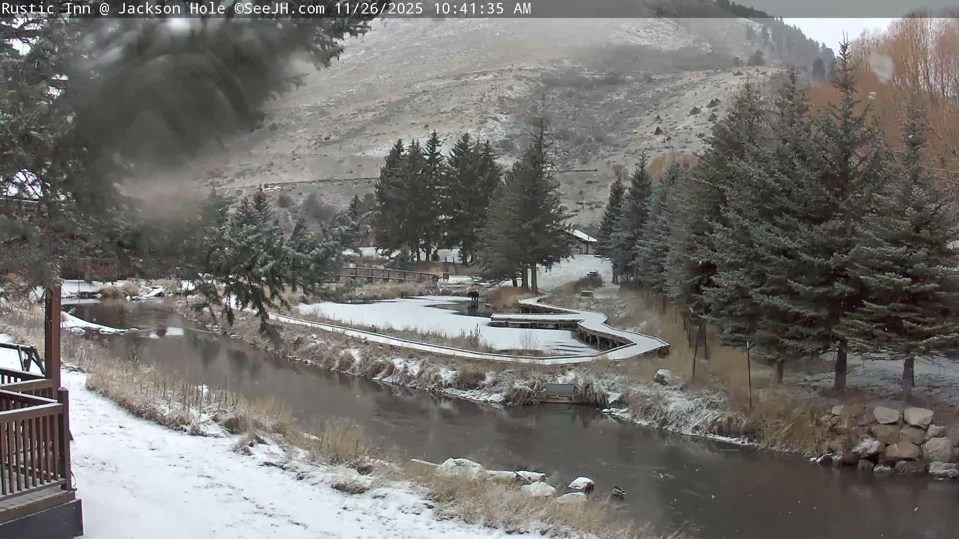 Jackson Hole, Flat Creek from Rustic Inn Resort Live Cam - Jackson, Teton, Wyoming, USA
