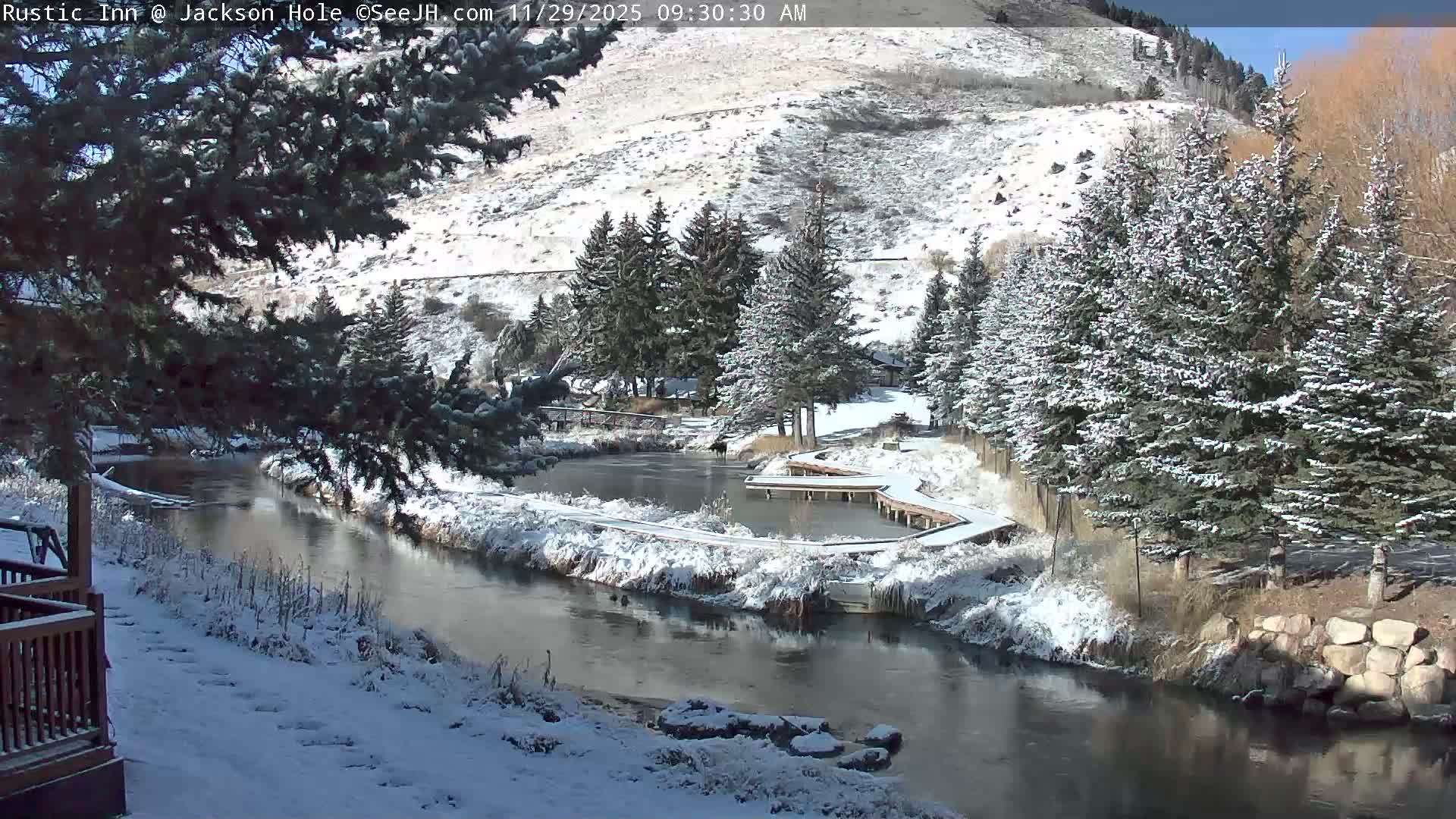 Jackson Hole, Flat Creek from Rustic Inn Resort Live Cam - Jackson, Teton, Wyoming, USA