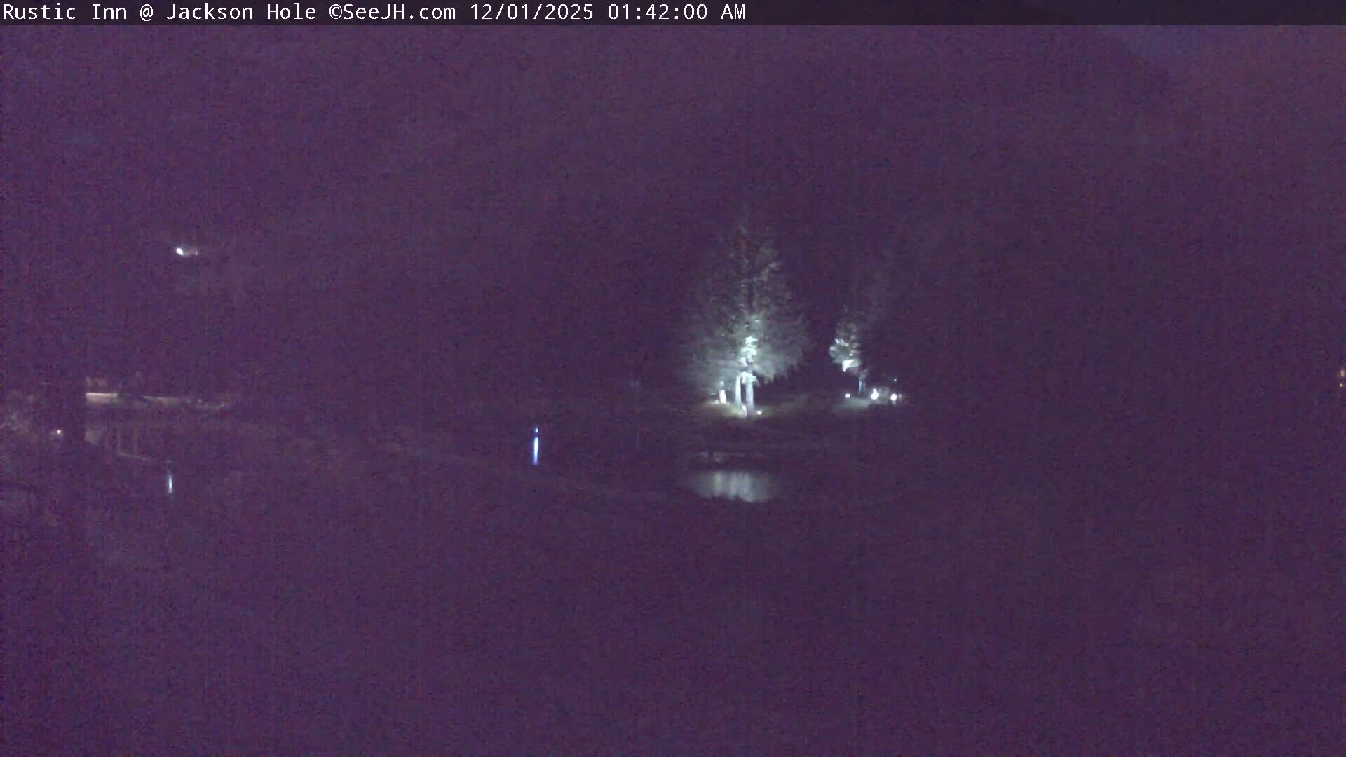 A dark outdoor night scene displays artificially lit trees reflecting on a still body of water, with faint lights from unseen structures in the distance, under calm conditions.