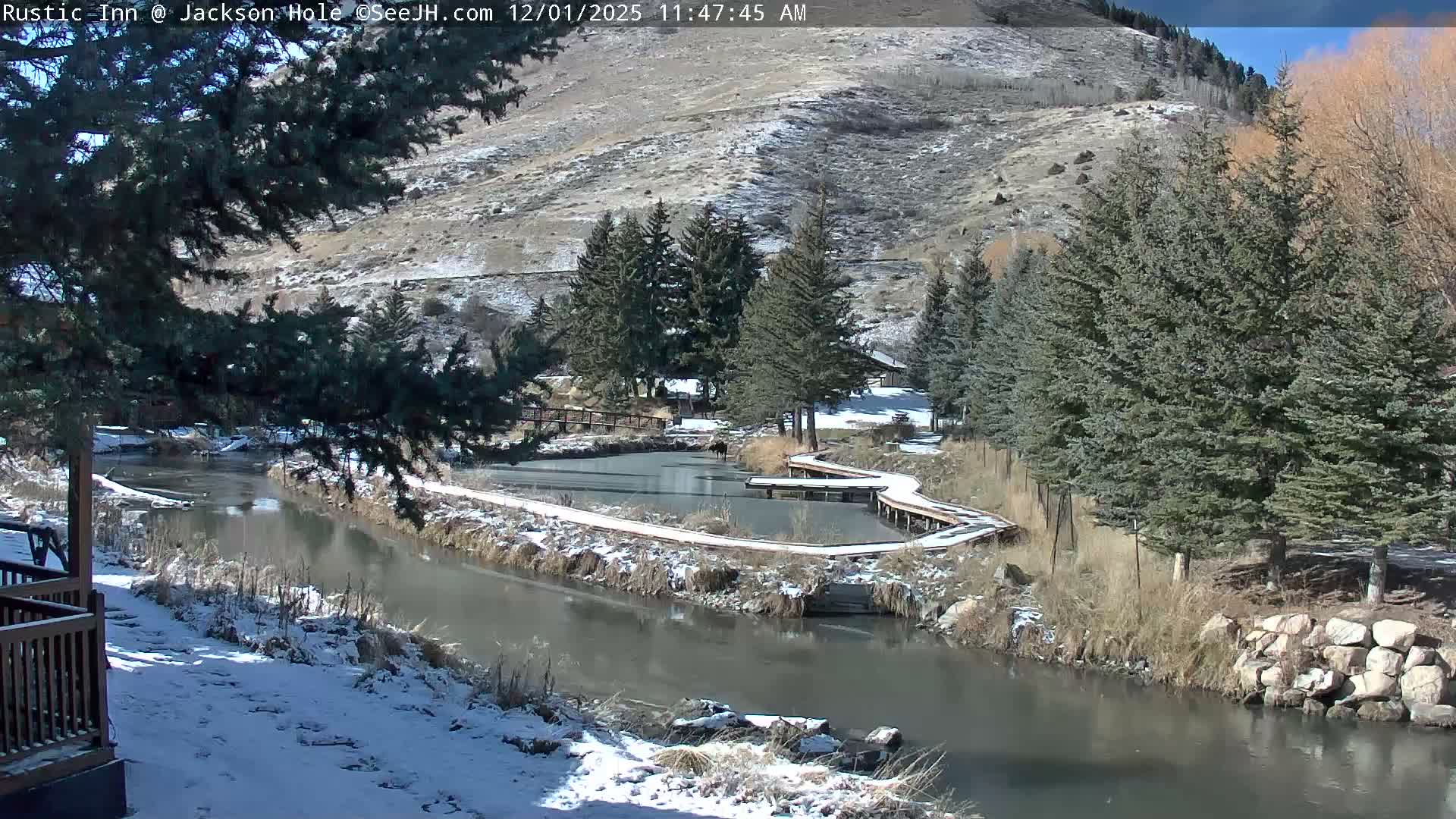 Jackson Hole, Flat Creek from Rustic Inn Resort Live Cam - Jackson, Teton, Wyoming, USA