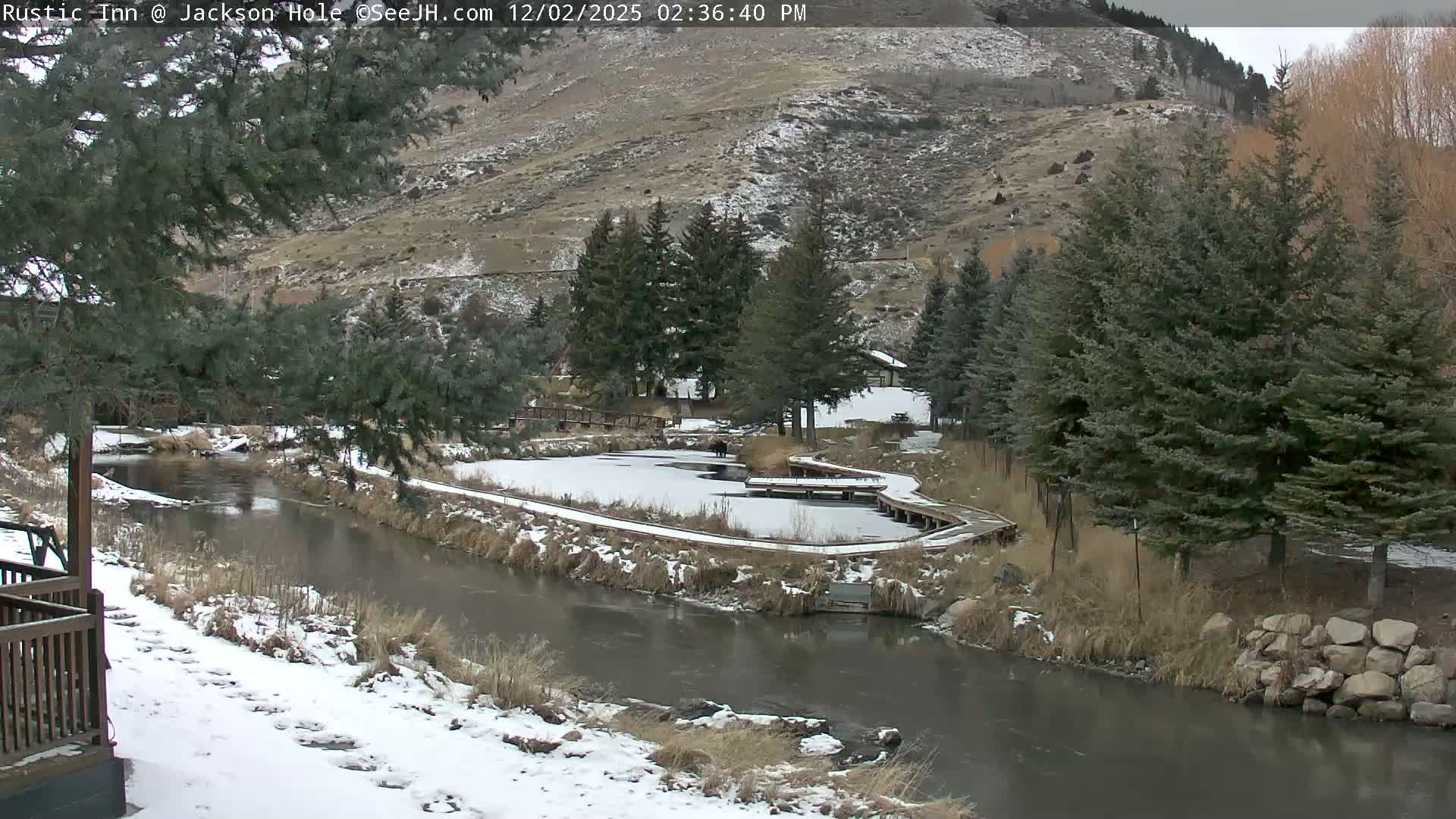 Jackson Hole, Flat Creek from Rustic Inn Resort Live Cam - Jackson, Teton, Wyoming, USA