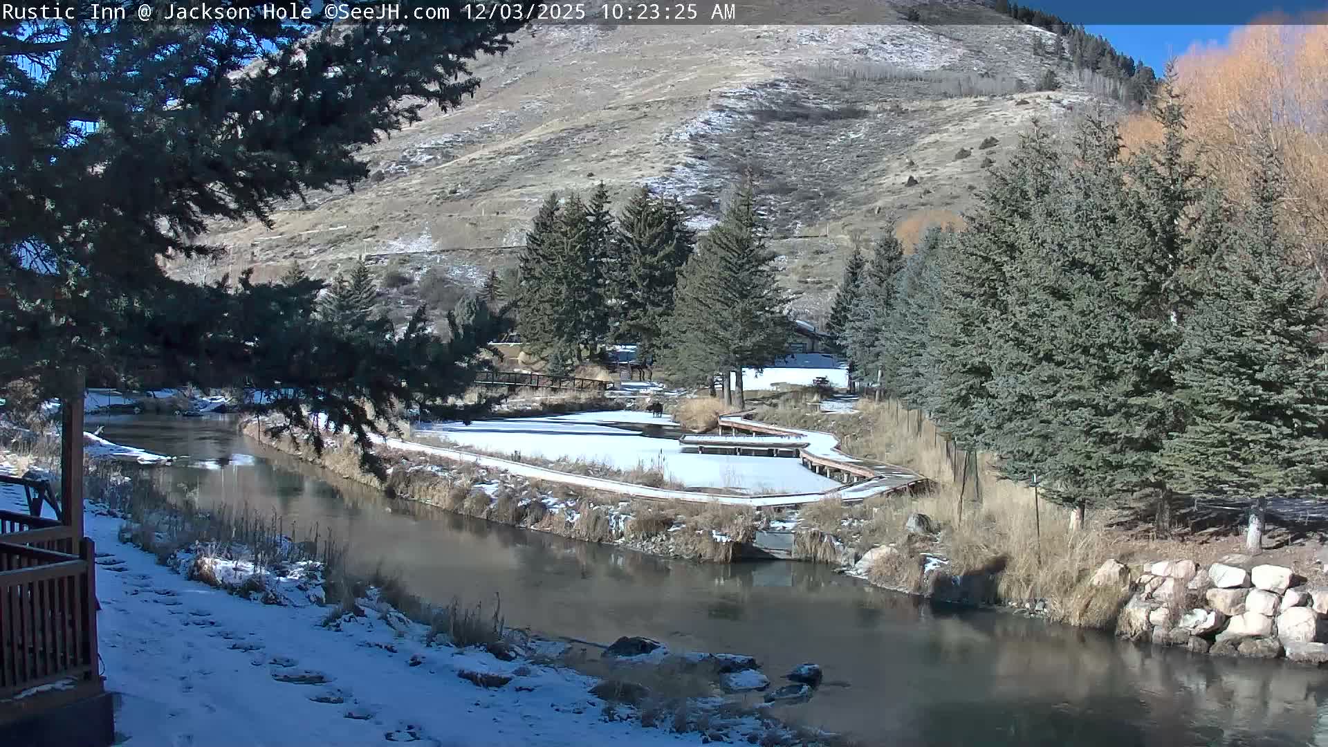 Jackson Hole, Flat Creek from Rustic Inn Resort Live Cam - Jackson, Teton, Wyoming, USA