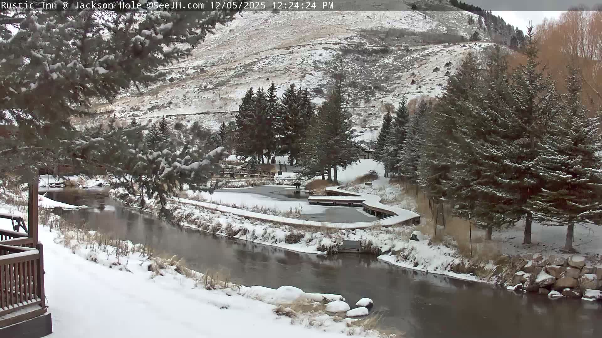 Jackson Hole, Flat Creek from Rustic Inn Resort Live Cam - Jackson, Teton, Wyoming, USA