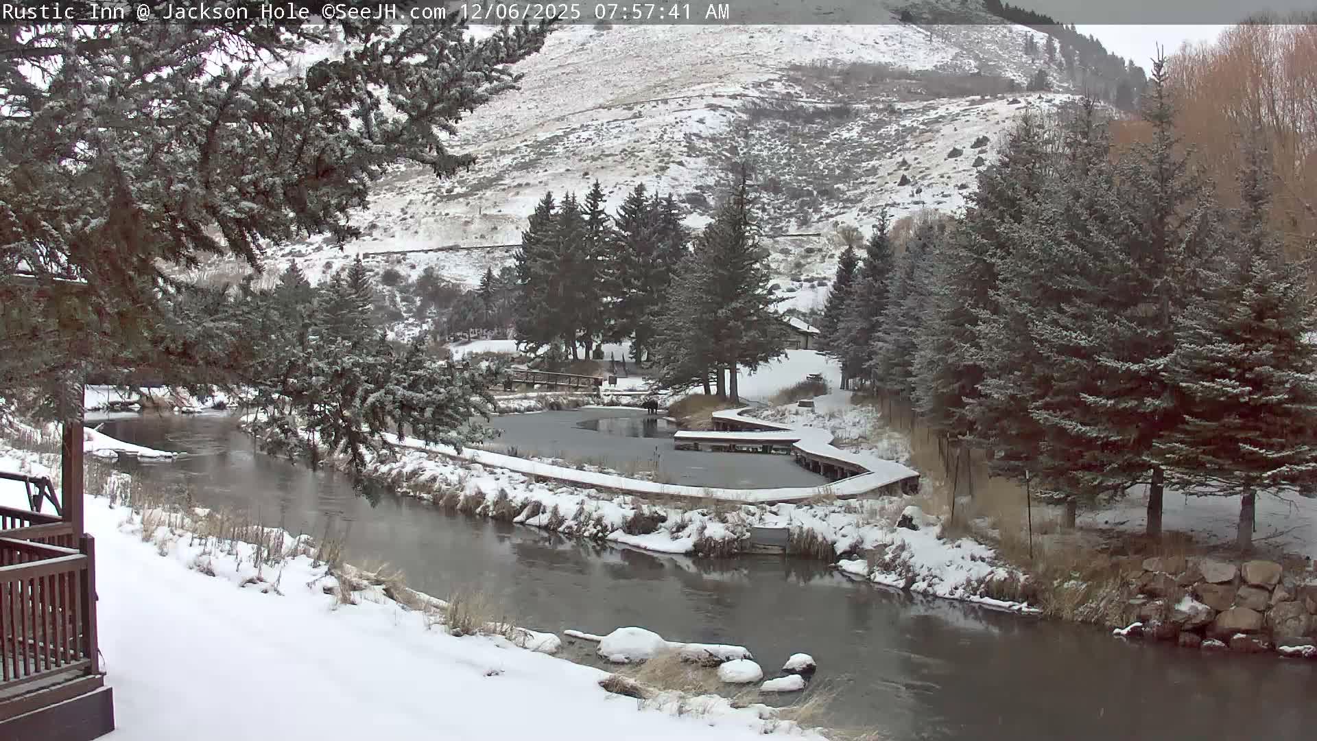 Jackson Hole, Flat Creek from Rustic Inn Resort Live Cam - Jackson, Teton, Wyoming, USA