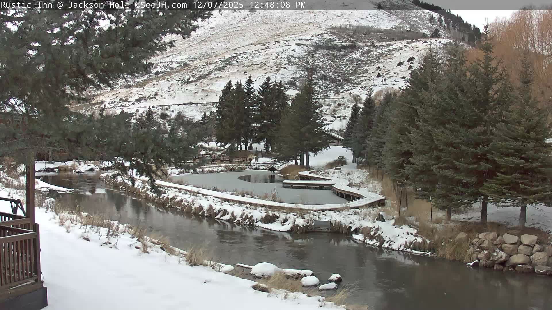 Jackson Hole, Flat Creek from Rustic Inn Resort Live Cam - Jackson, Teton, Wyoming, USA