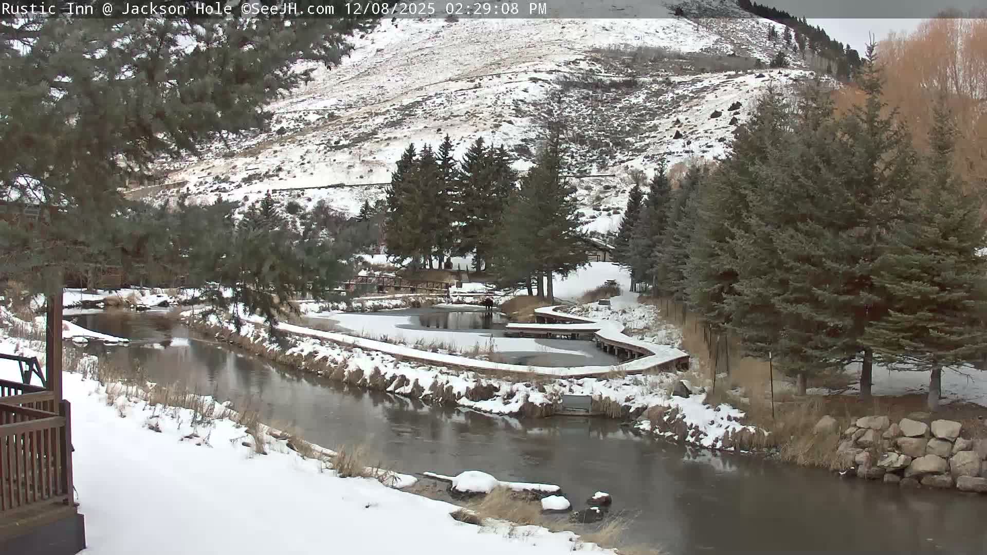 Jackson Hole, Flat Creek from Rustic Inn Resort Live Cam - Jackson, Teton, Wyoming, USA