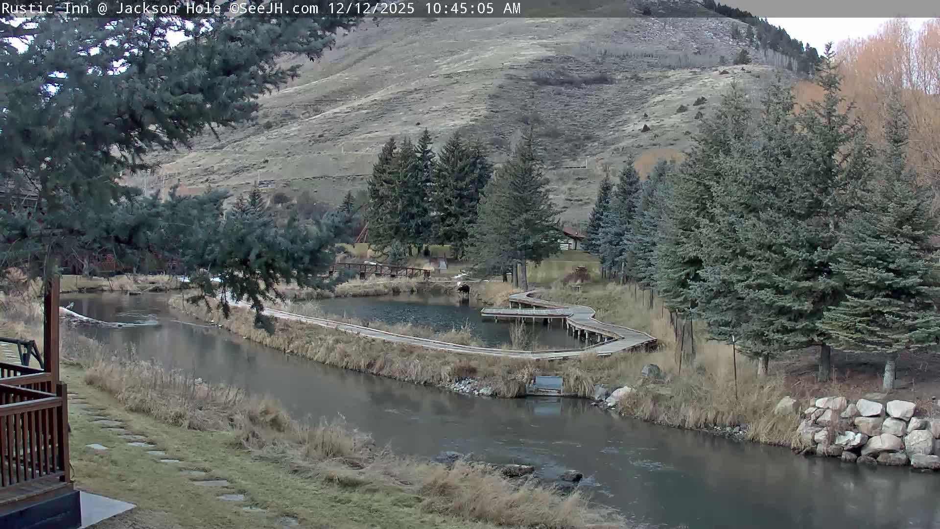 Jackson Hole, Flat Creek from Rustic Inn Resort Live Cam - Jackson, Teton, Wyoming, USA