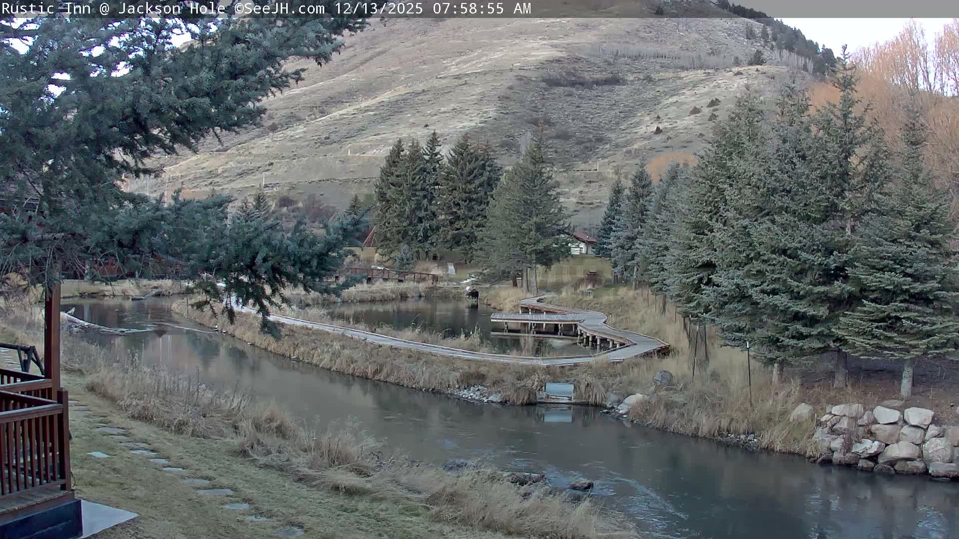 Jackson Hole, Flat Creek from Rustic Inn Resort Live Cam - Jackson, Teton, Wyoming, USA
