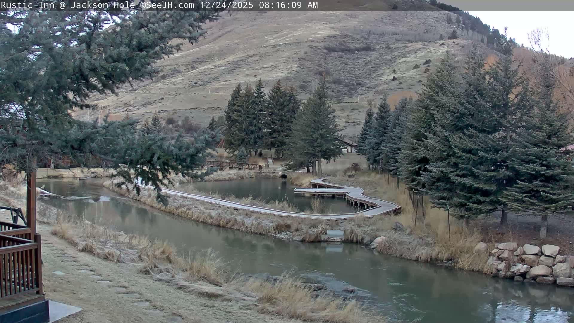 Jackson Hole, Flat Creek from Rustic Inn Resort Live Cam - Jackson, Teton, Wyoming, USA