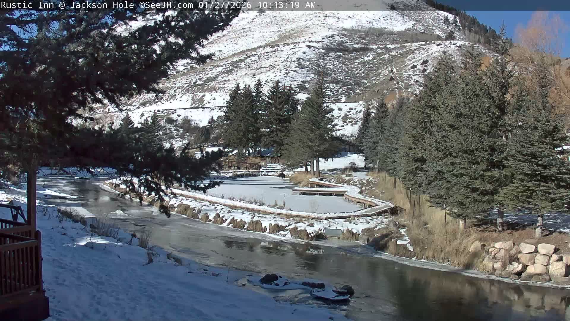 Jackson Hole, Flat Creek from Rustic Inn Resort Live Cam - Jackson, Teton, Wyoming, USA