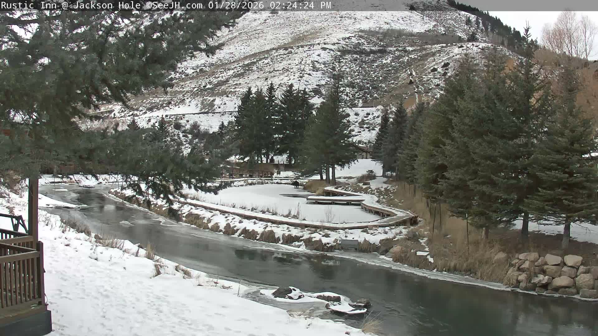 Jackson Hole, Flat Creek from Rustic Inn Resort Live Cam - Jackson, Teton, Wyoming, USA