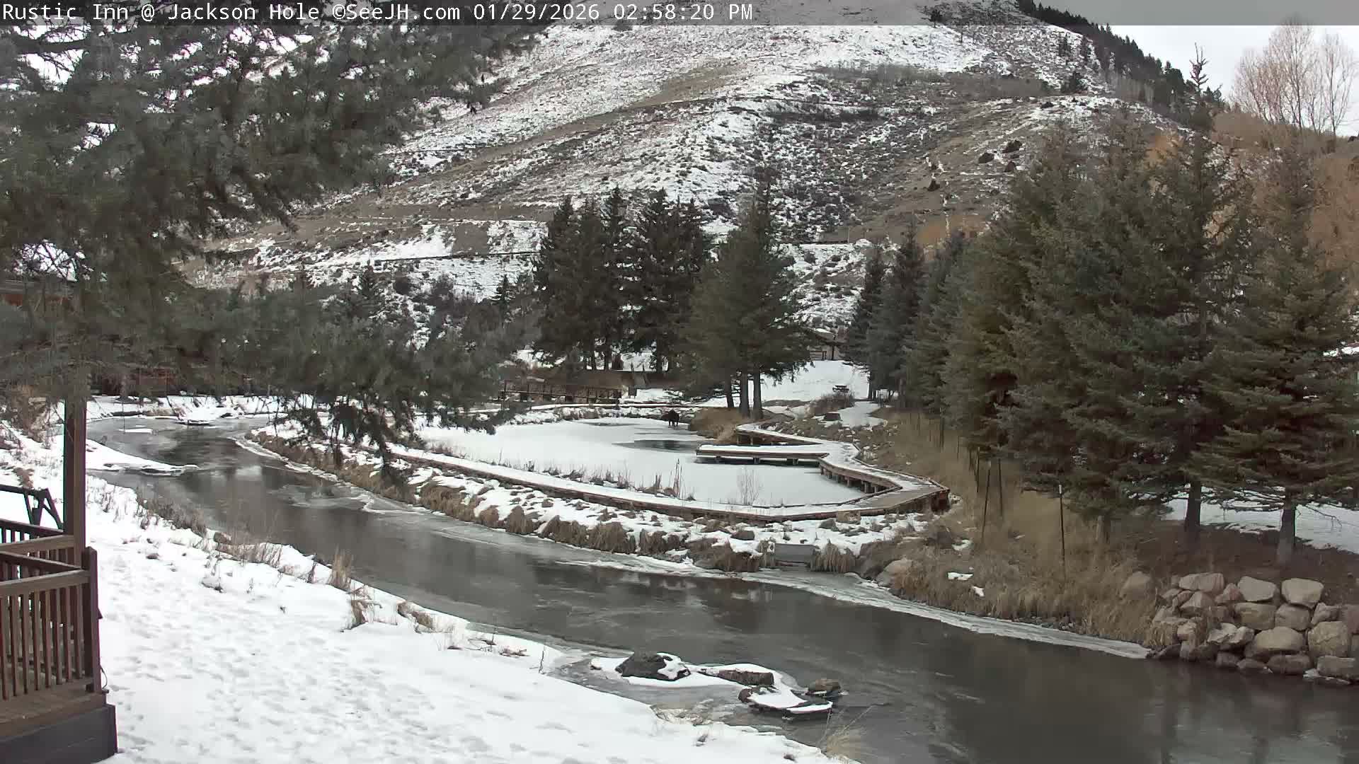 Jackson Hole, Flat Creek from Rustic Inn Resort Live Cam - Jackson, Teton, Wyoming, USA