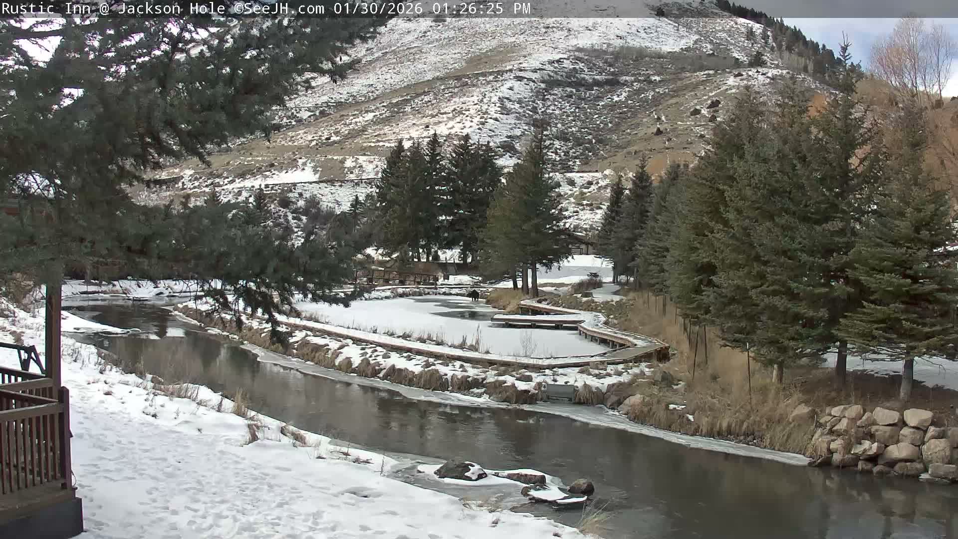 Jackson Hole, Flat Creek from Rustic Inn Resort Live Cam - Jackson, Teton, Wyoming, USA