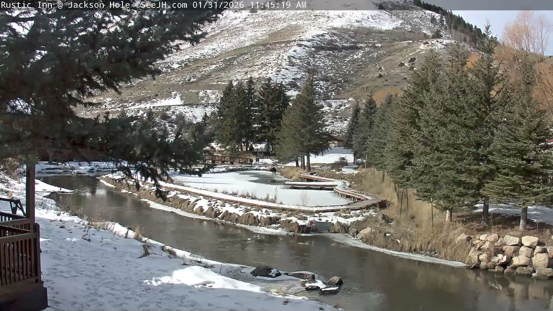 Jackson Hole, Flat Creek from Rustic Inn Resort Live Cam - Jackson, Teton, Wyoming, USA