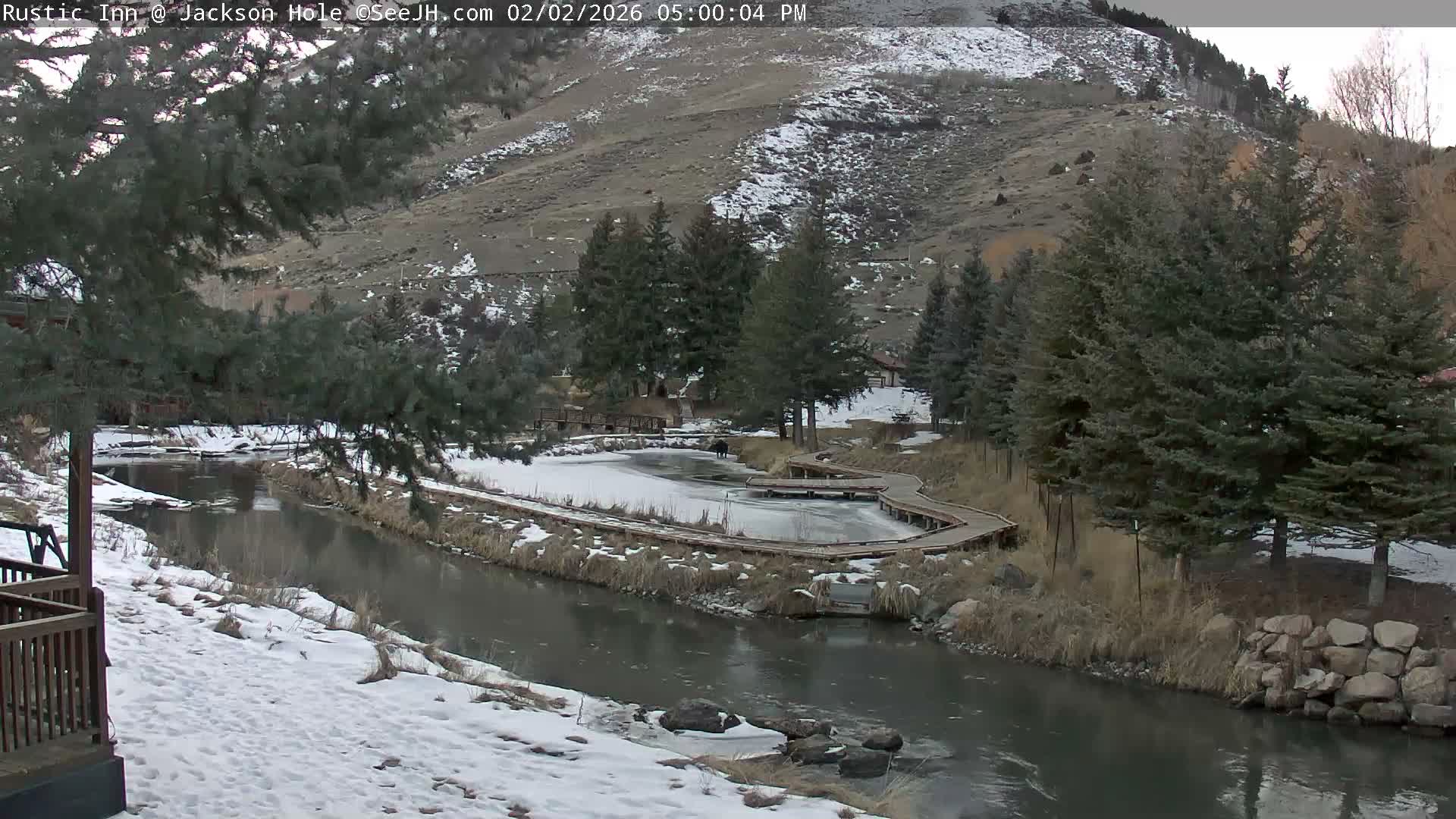 Jackson Hole, Flat Creek from Rustic Inn Resort Live Cam - Jackson, Teton, Wyoming, USA